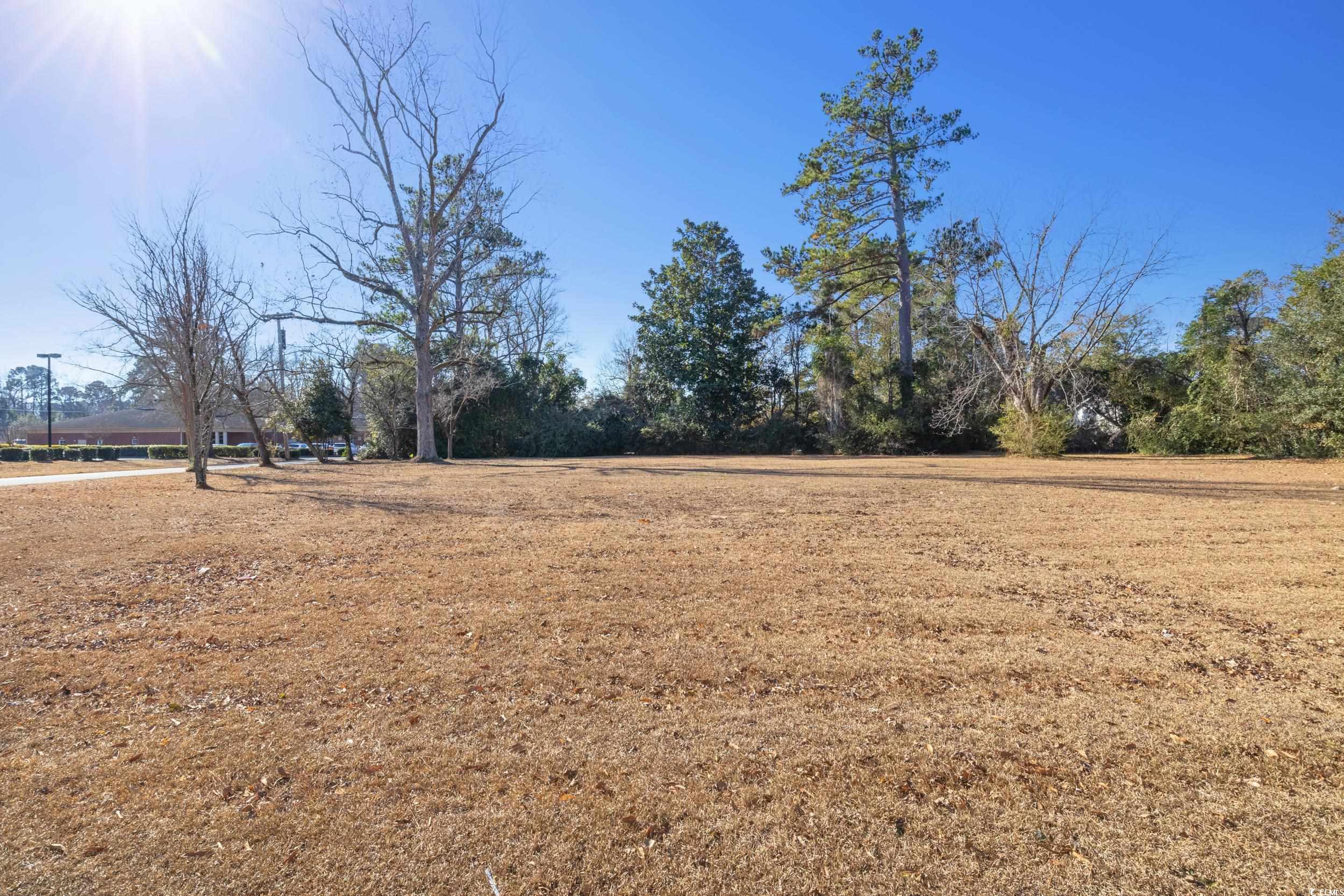 3540 Main St., Loris, South Carolina image 9