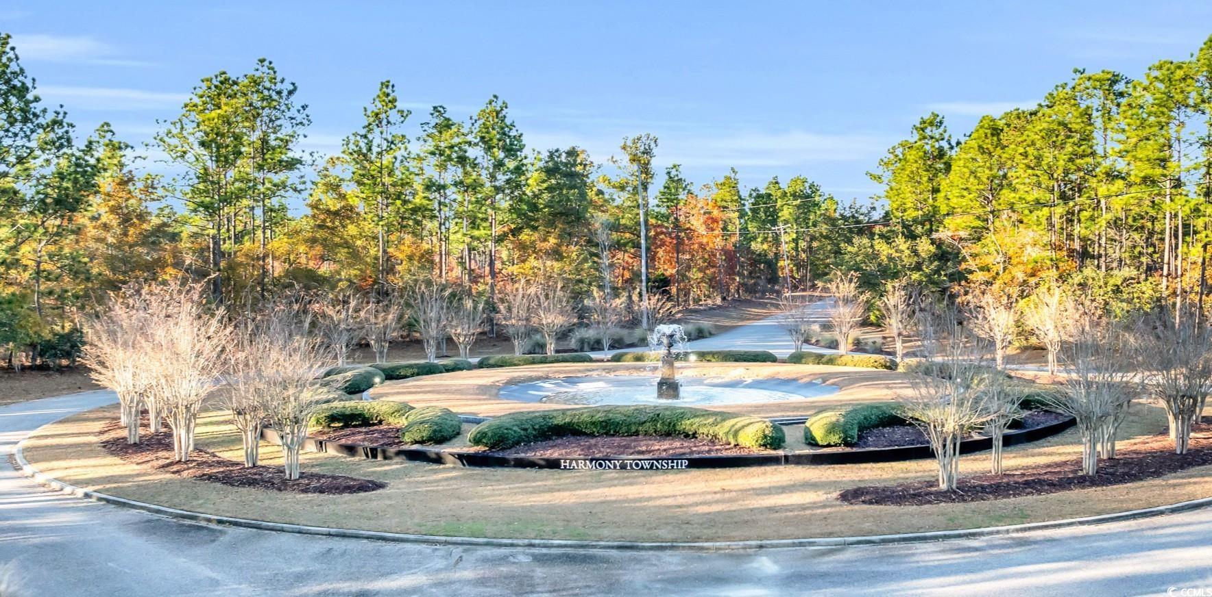 Lot 20 Serenity Park Ln, Georgetown, South Carolina image 10