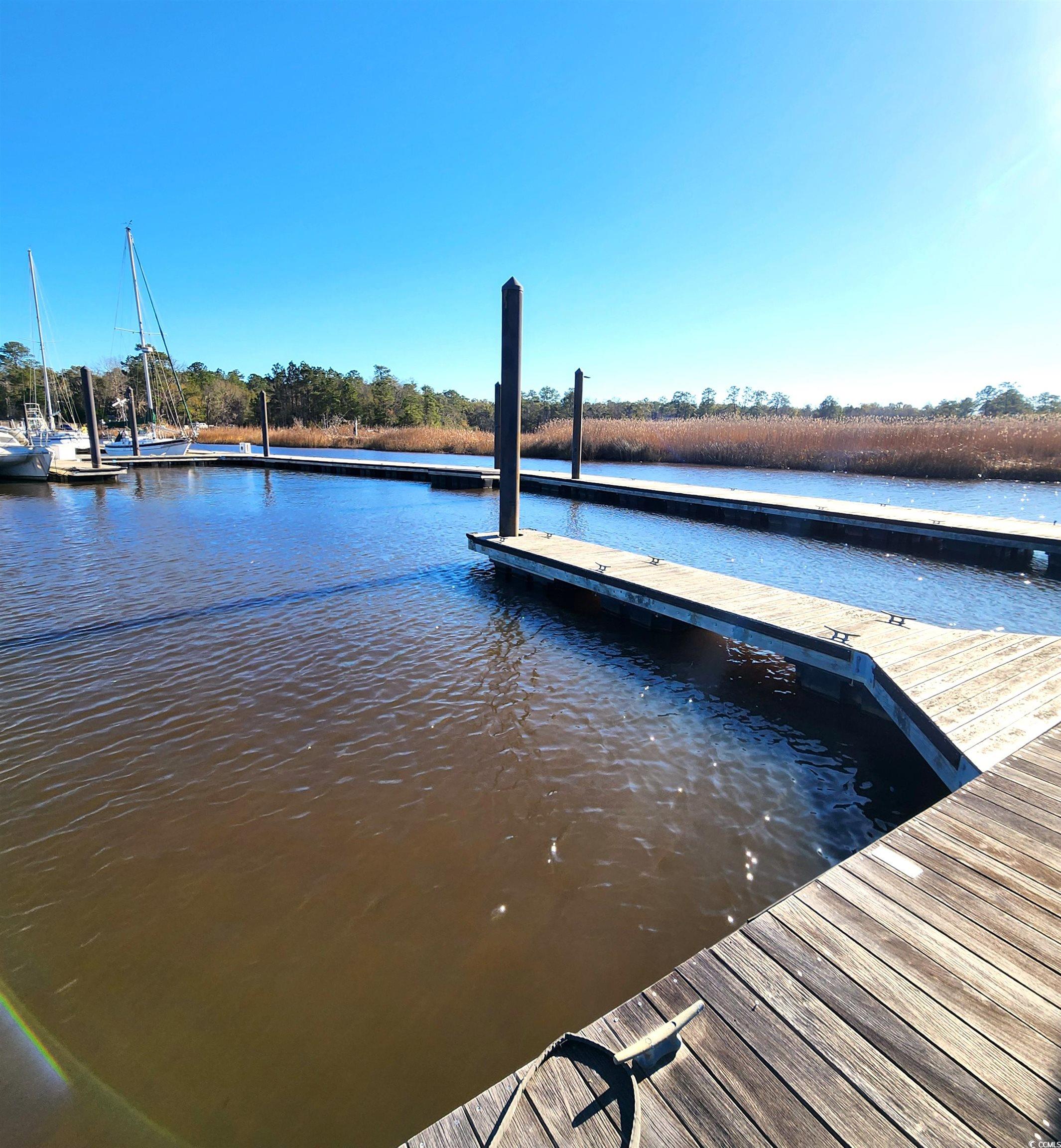 Lot 20 Serenity Park Ln, Georgetown, South Carolina image 18