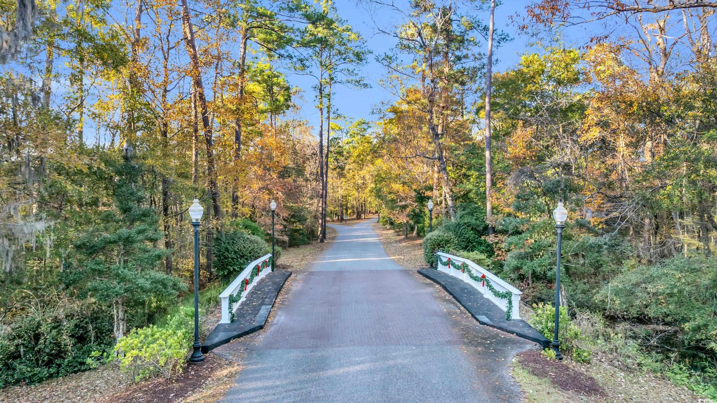 Lot 20 Serenity Park Ln, Georgetown, South Carolina image 19