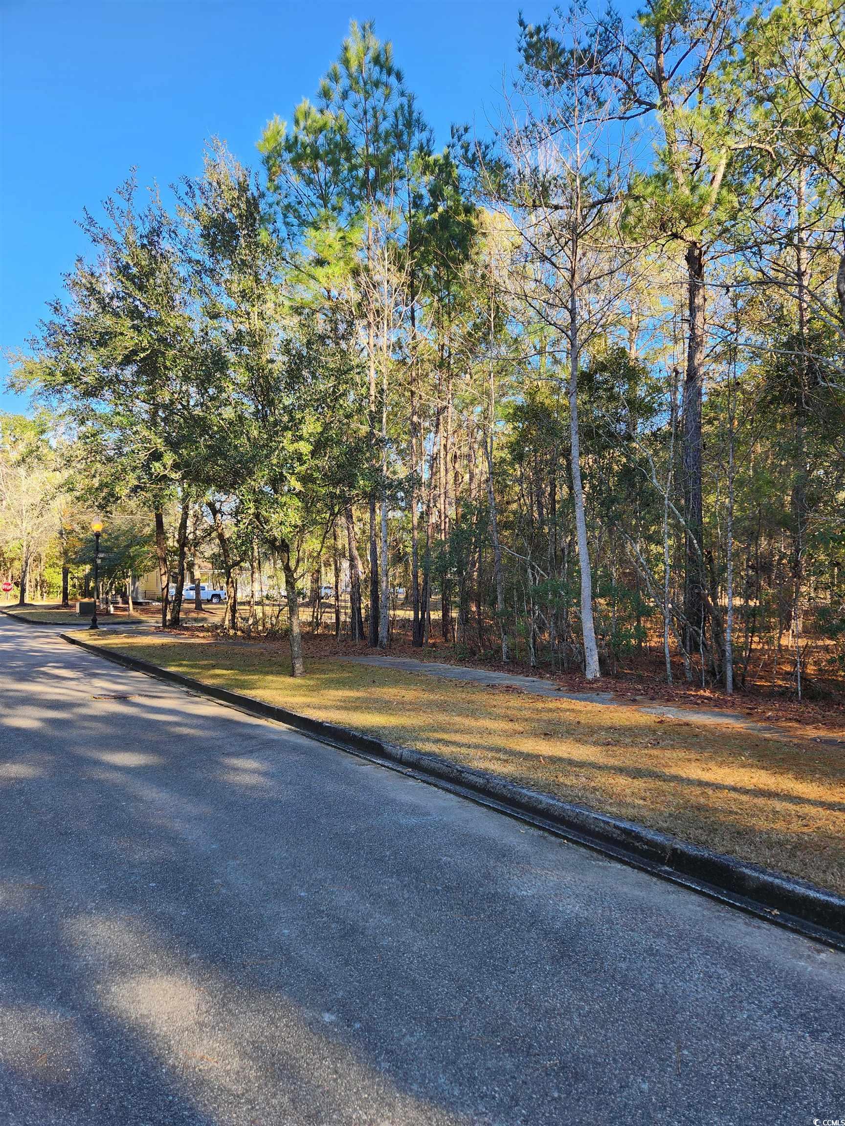 Lot 20 Serenity Park Ln, Georgetown, South Carolina image 24