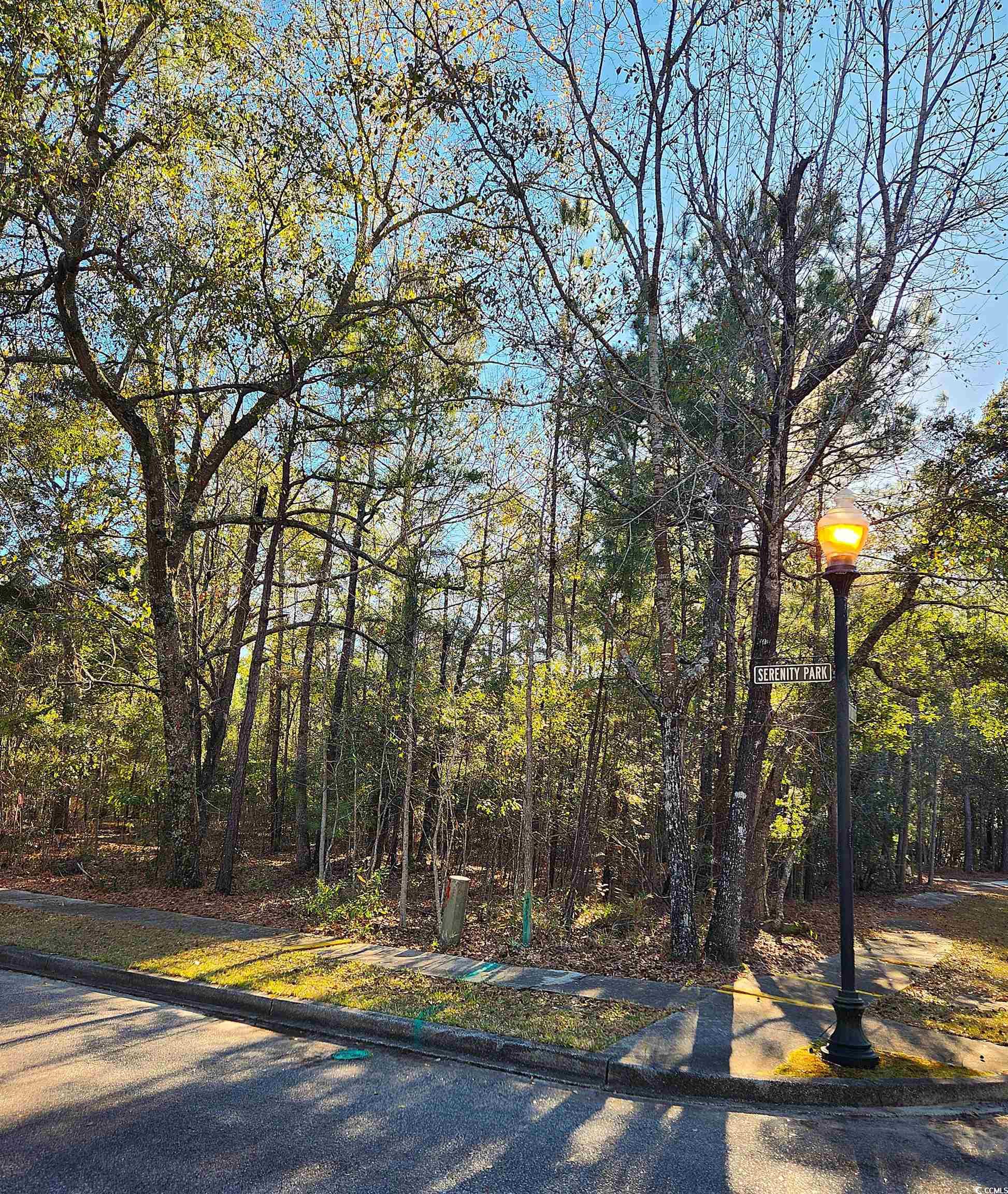 Lot 20 Serenity Park Ln, Georgetown, South Carolina image 6