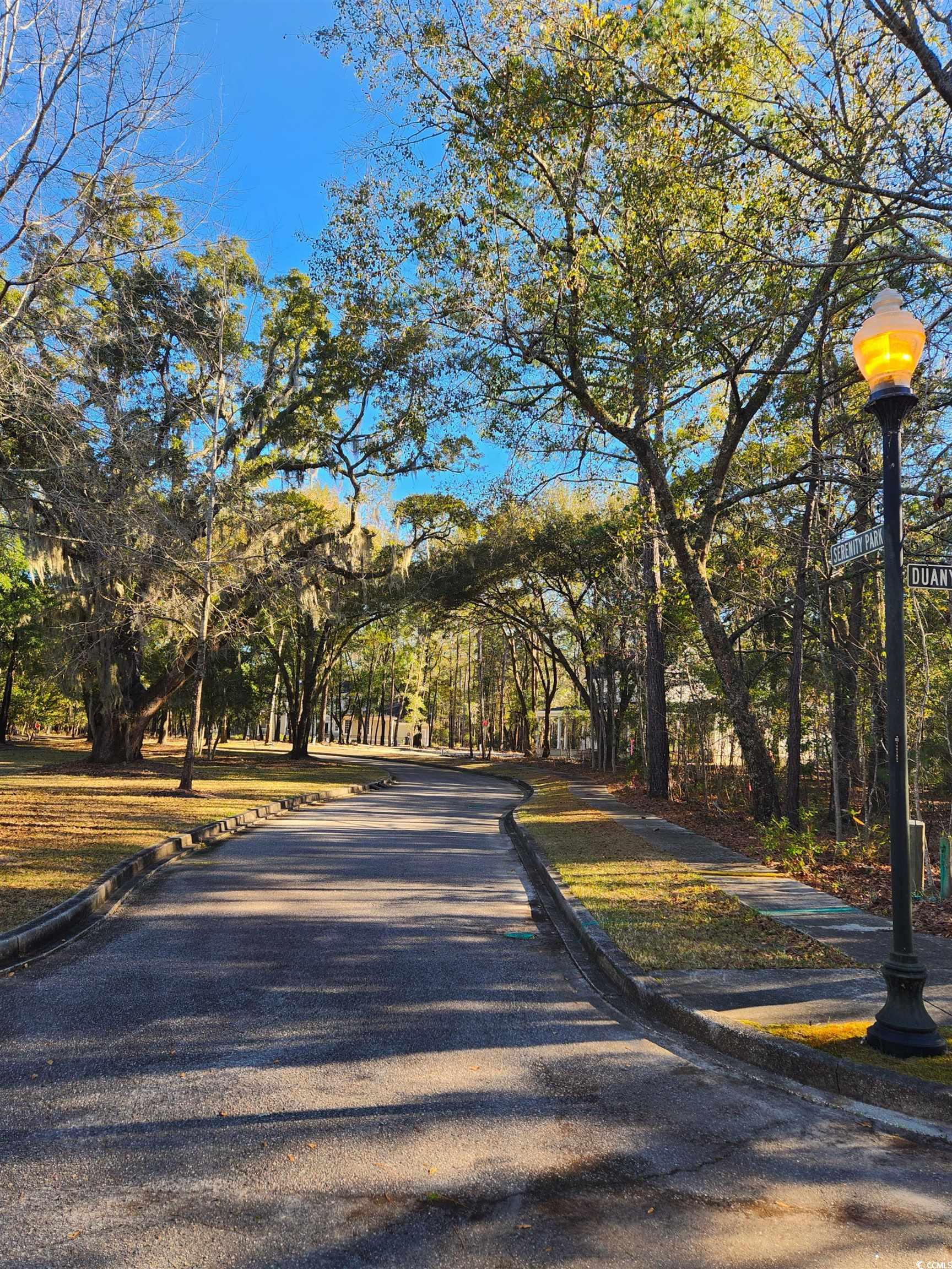 Lot 20 Serenity Park Ln, Georgetown, South Carolina image 7