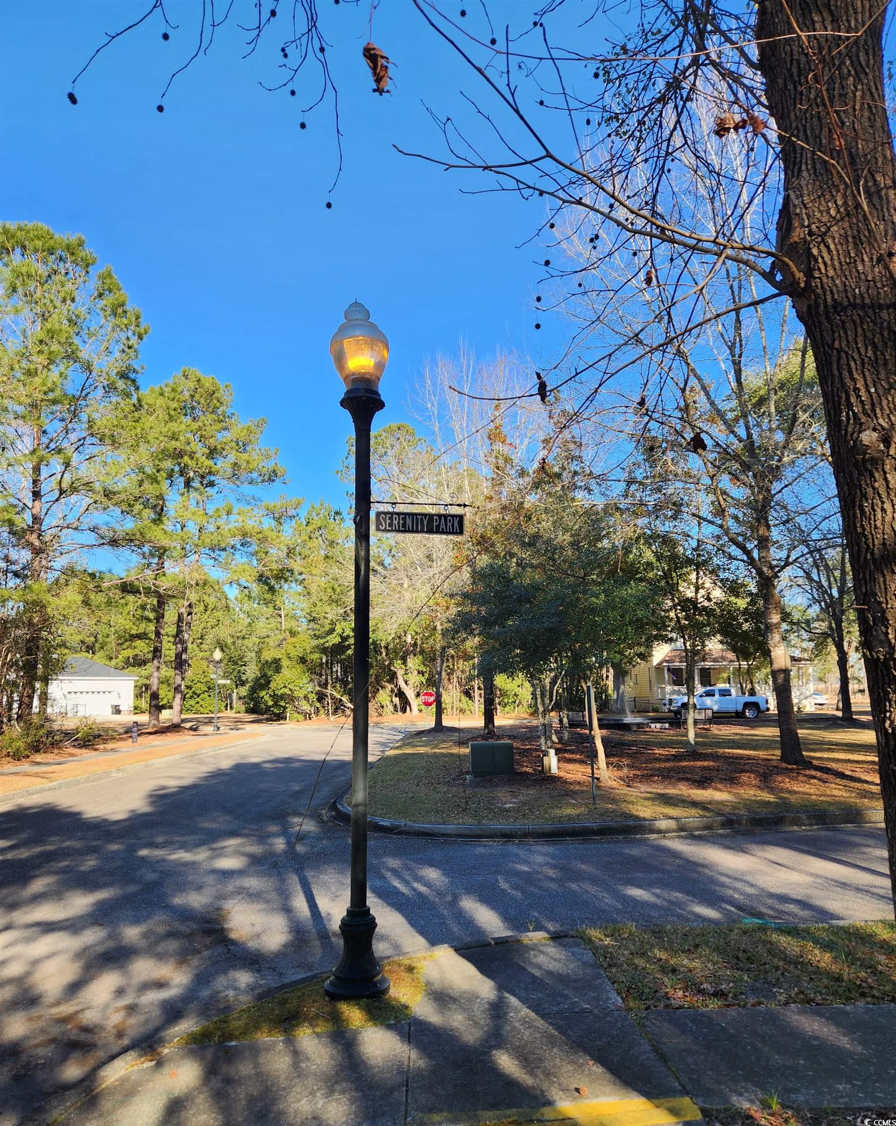 Lot 20 Serenity Park Ln, Georgetown, South Carolina image 8