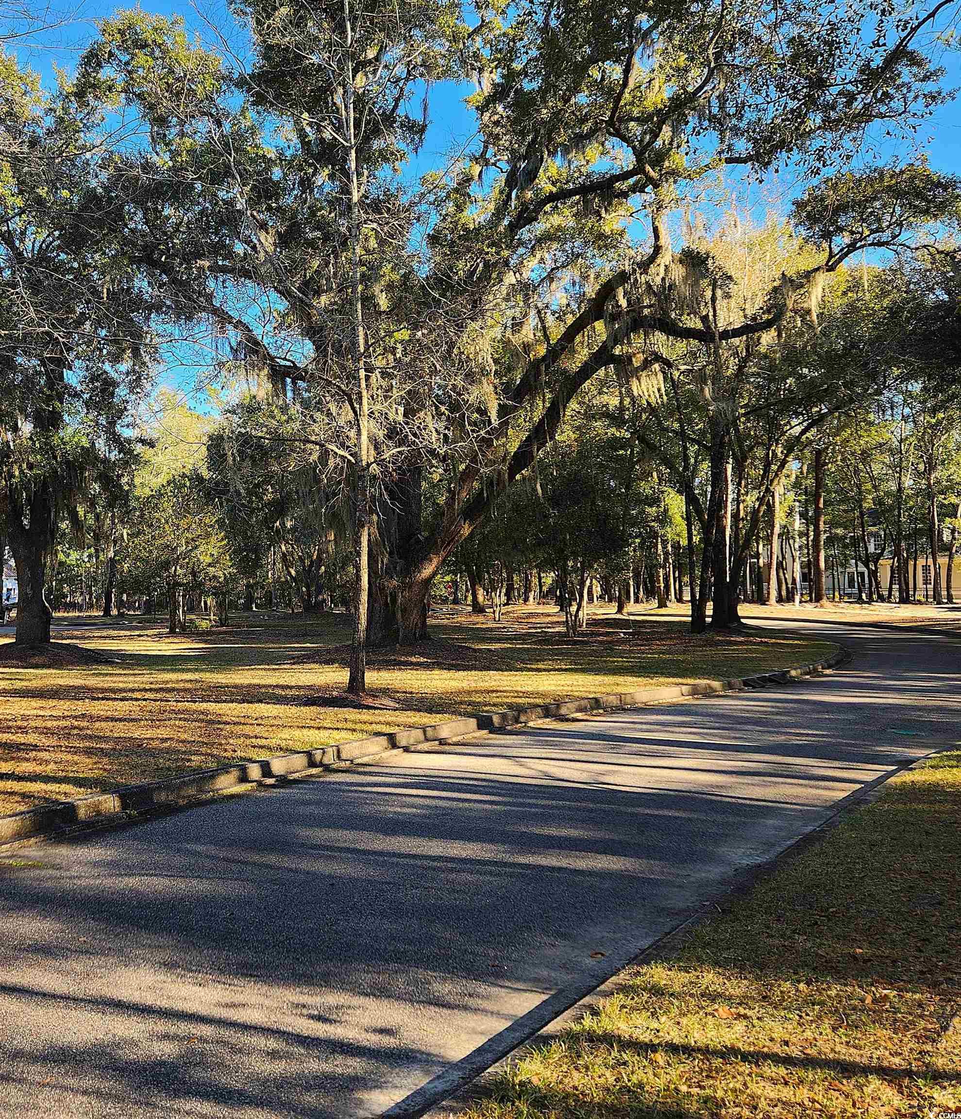 Lot 20 Serenity Park Ln, Georgetown, South Carolina image 9