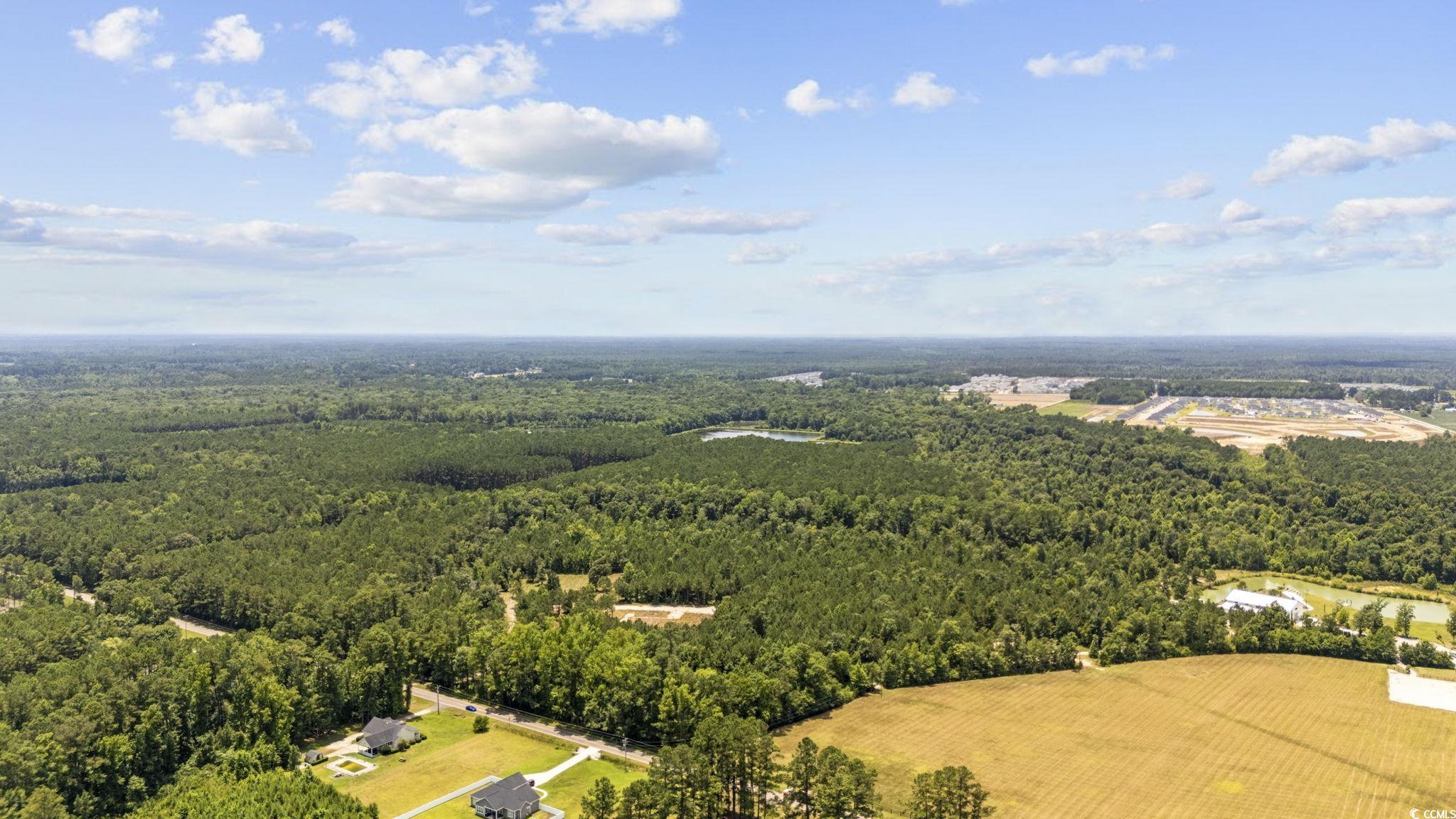 TBD Old Buck Creek Rd., Longs, South Carolina image 3