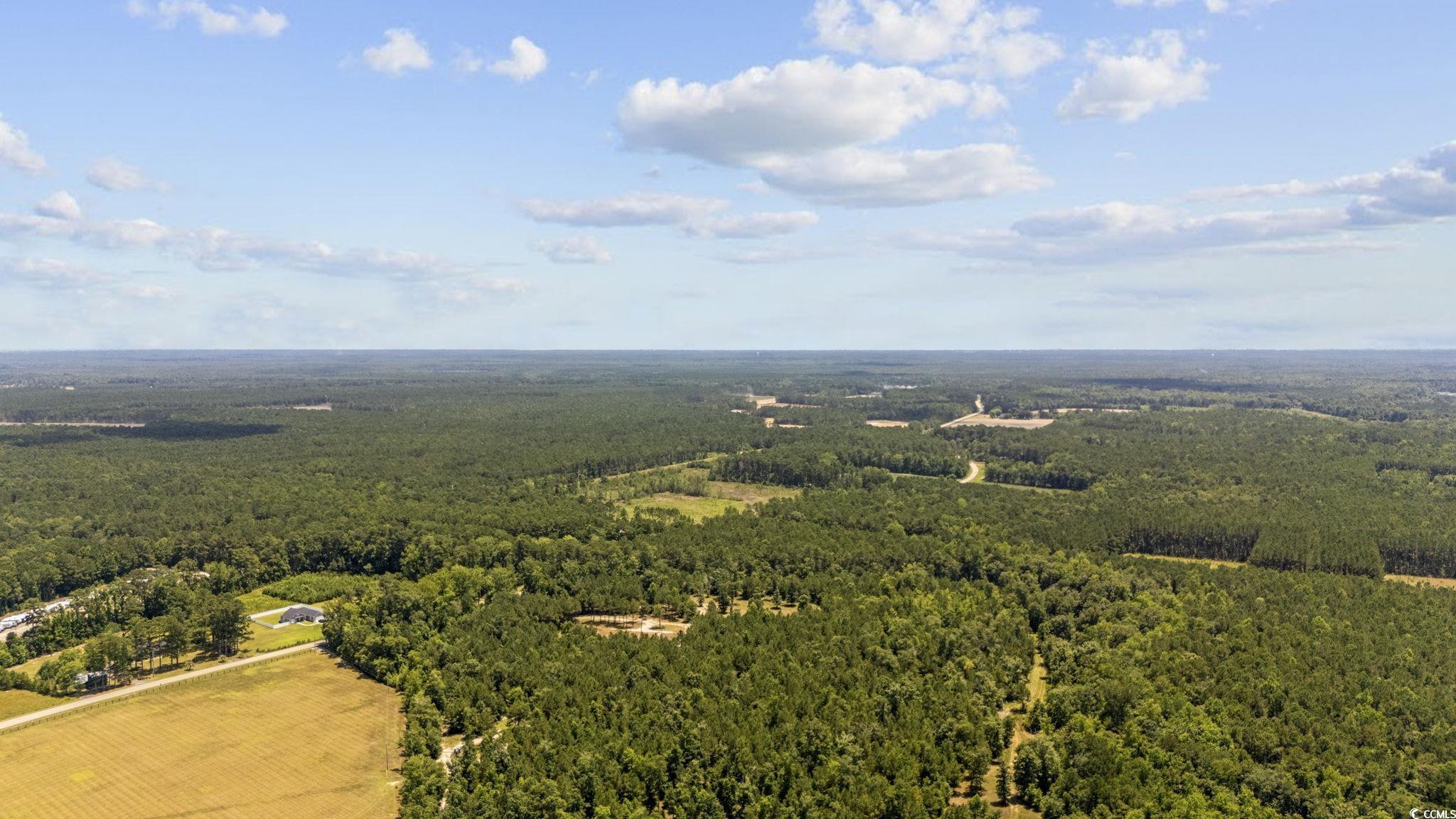 TBD Old Buck Creek Rd., Longs, South Carolina image 4