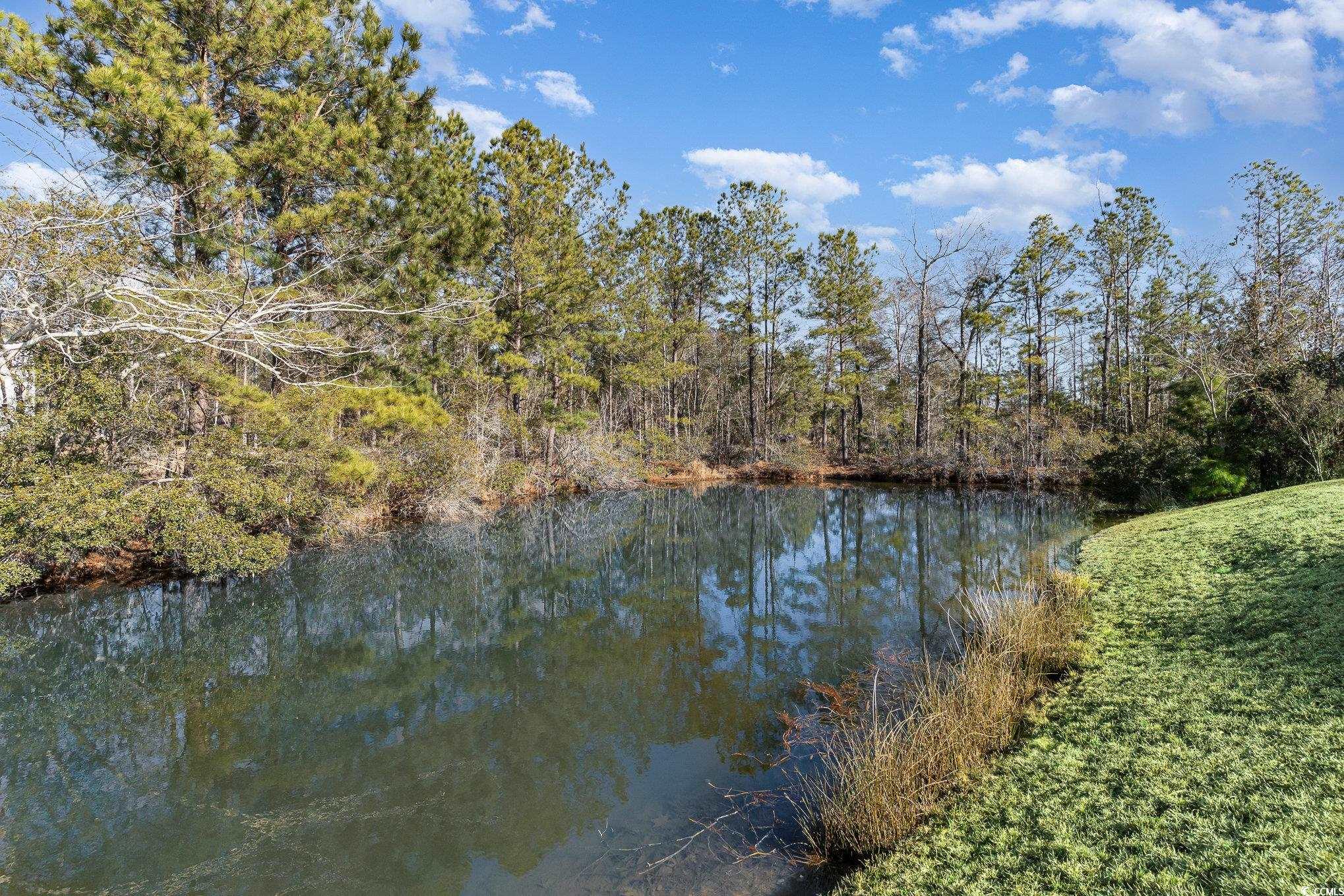 278 Seagrass Loop, Myrtle Beach, South Carolina image 24