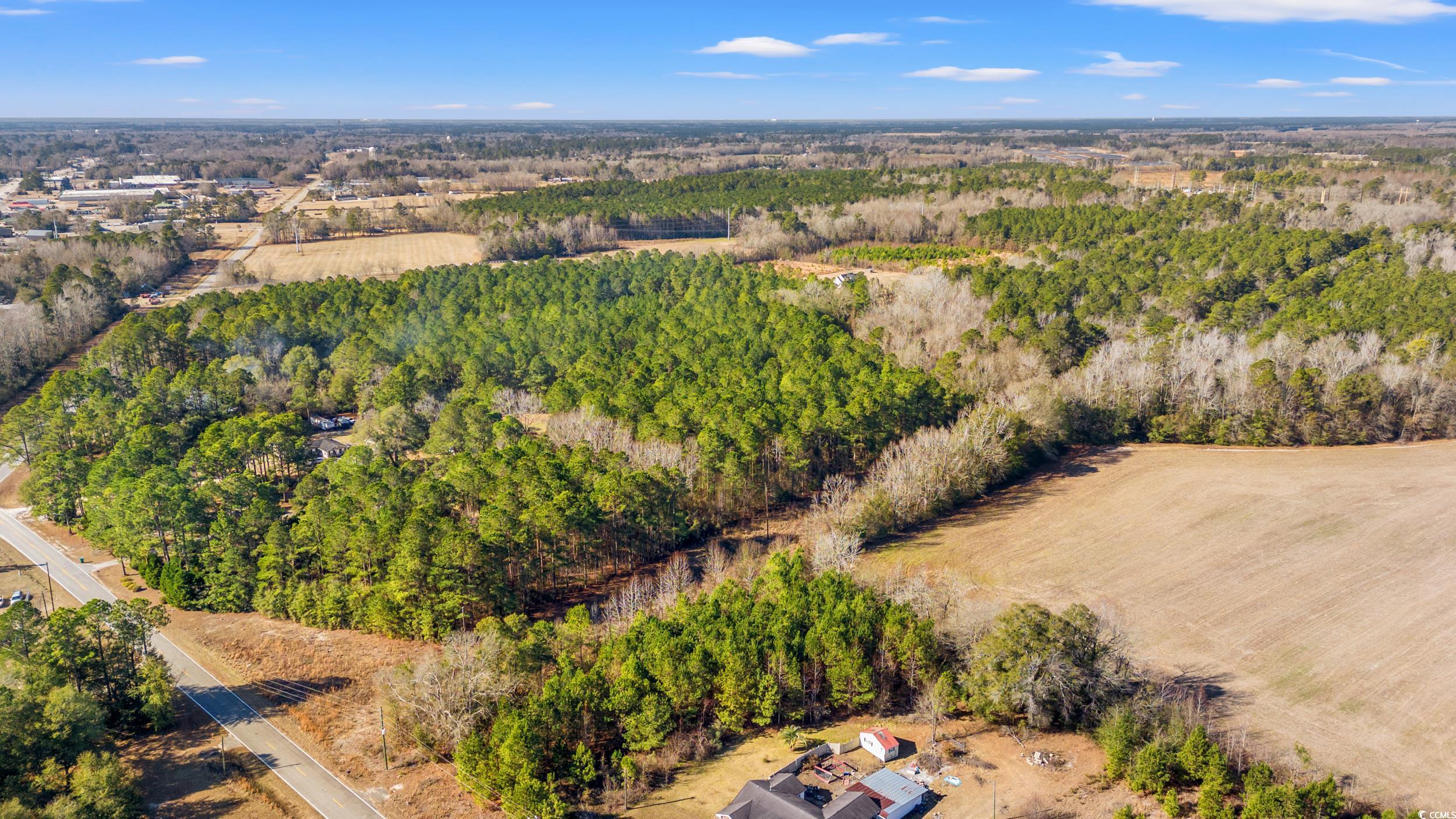 2024 Senator Gasque Rd., Marion, South Carolina image 35