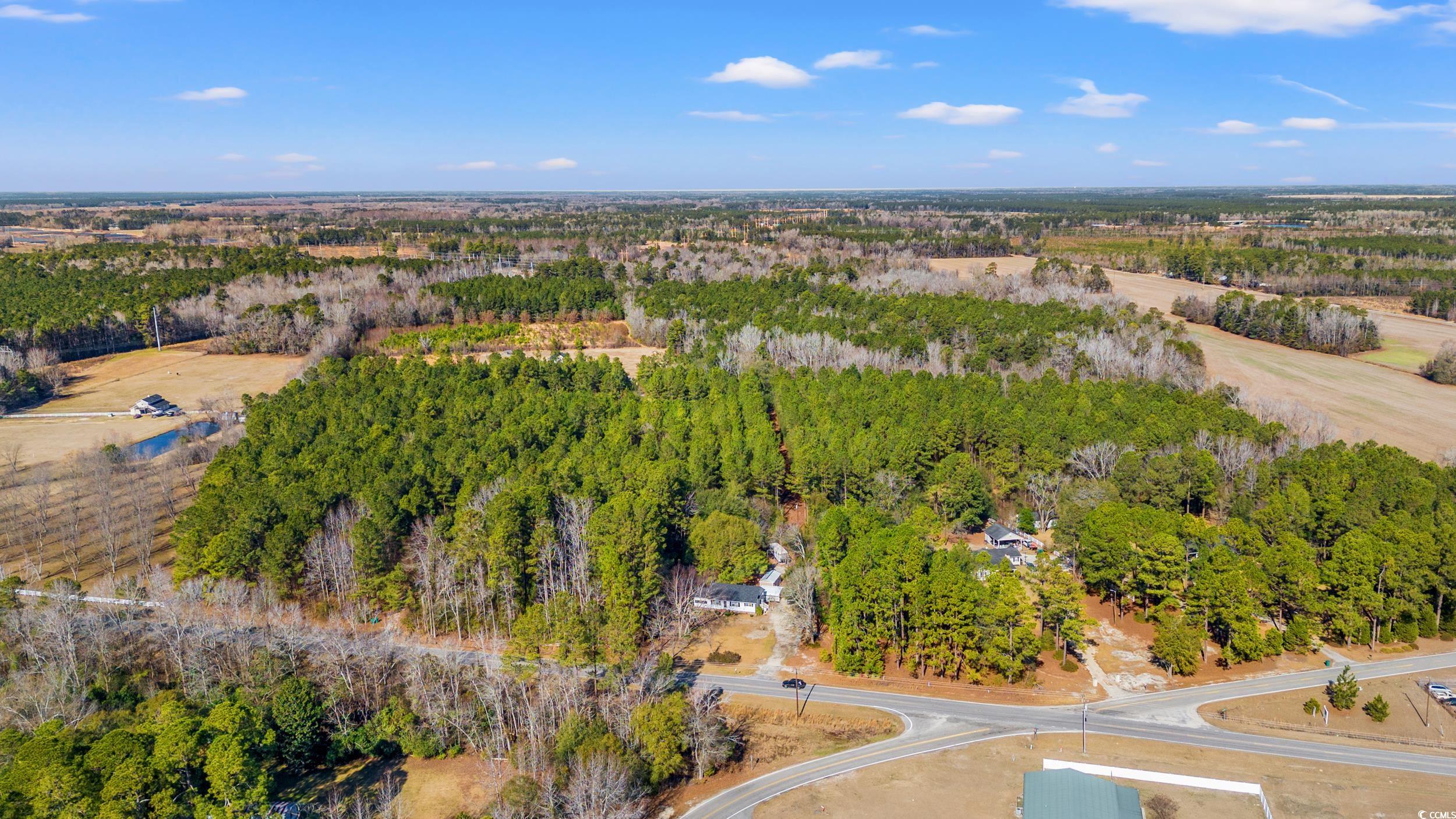 2024 Senator Gasque Rd., Marion, South Carolina image 37