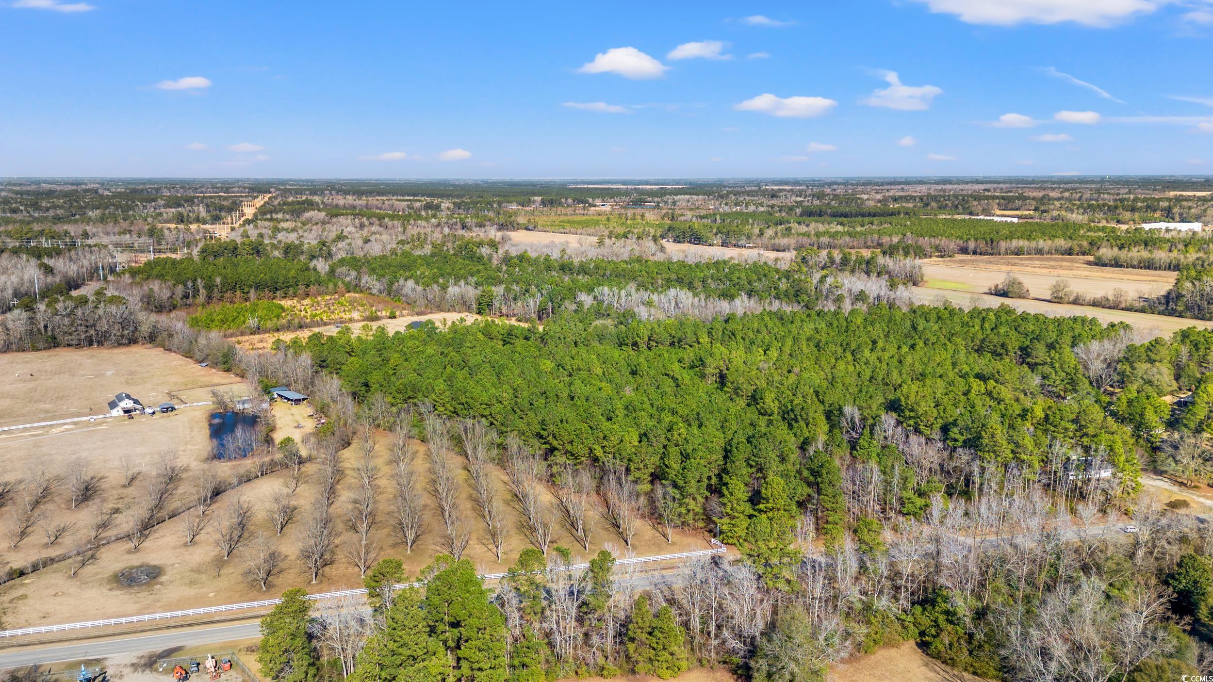 2024 Senator Gasque Rd., Marion, South Carolina image 38