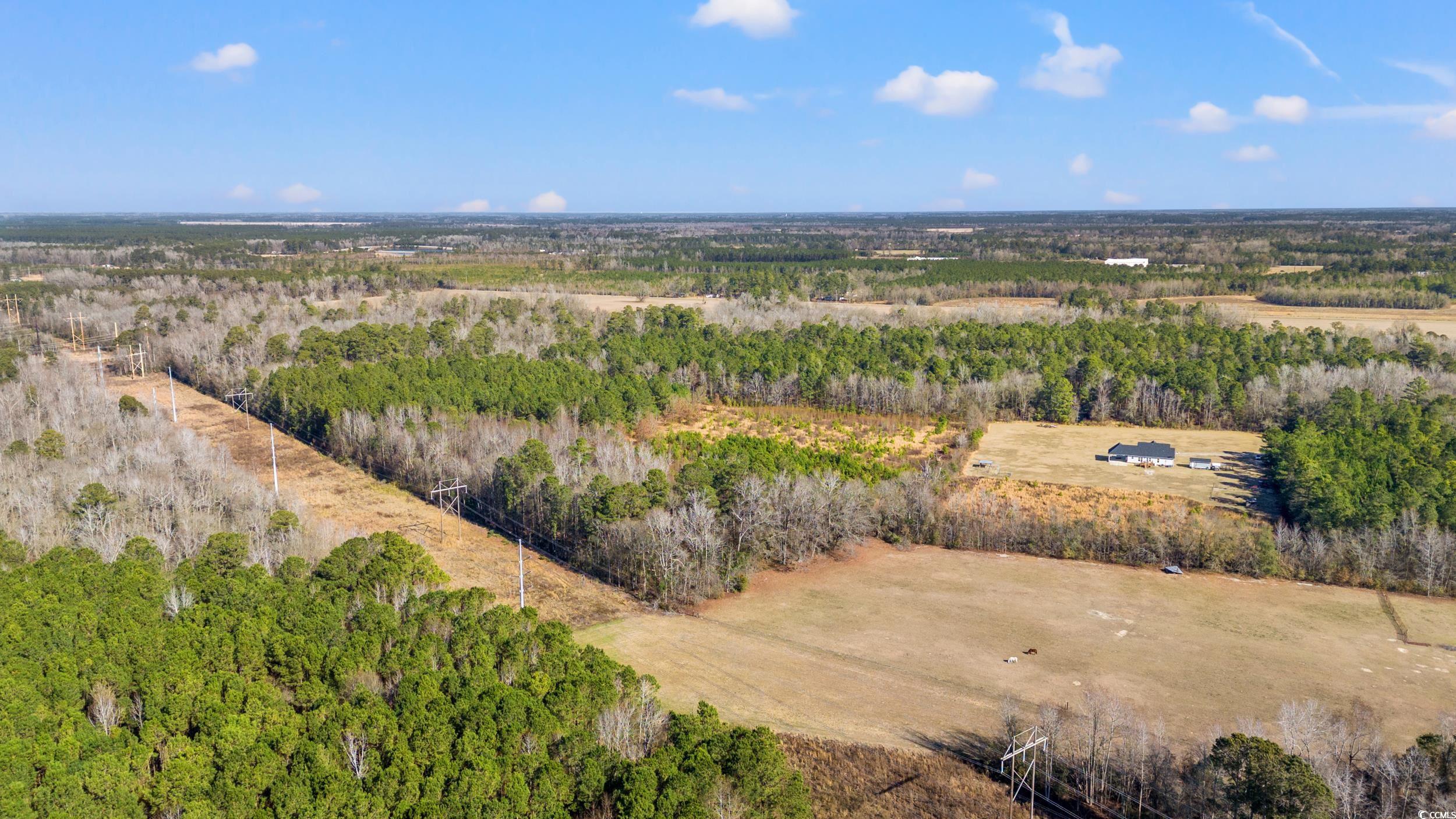 2024 Senator Gasque Rd., Marion, South Carolina image 39