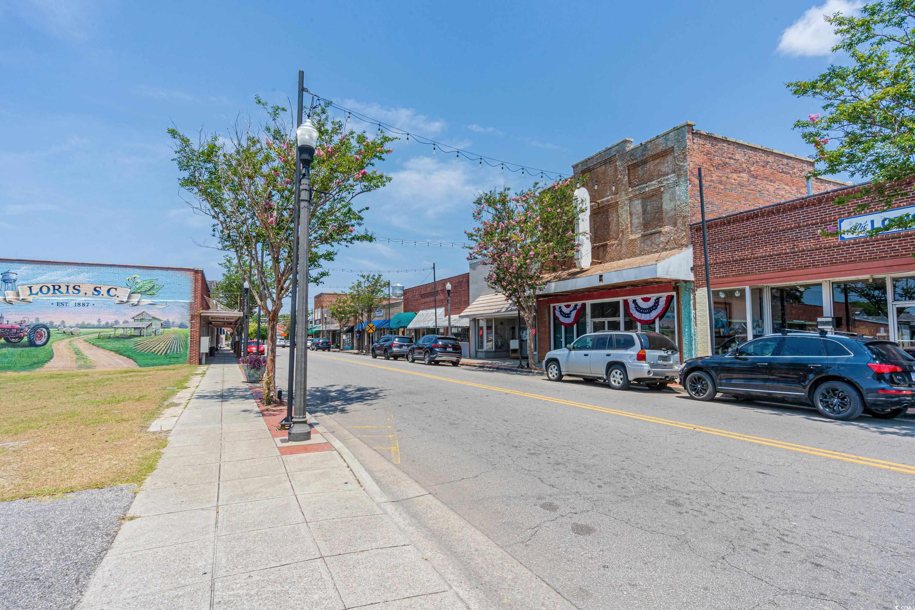 2100 G & B Estates Ave., Loris, South Carolina image 9