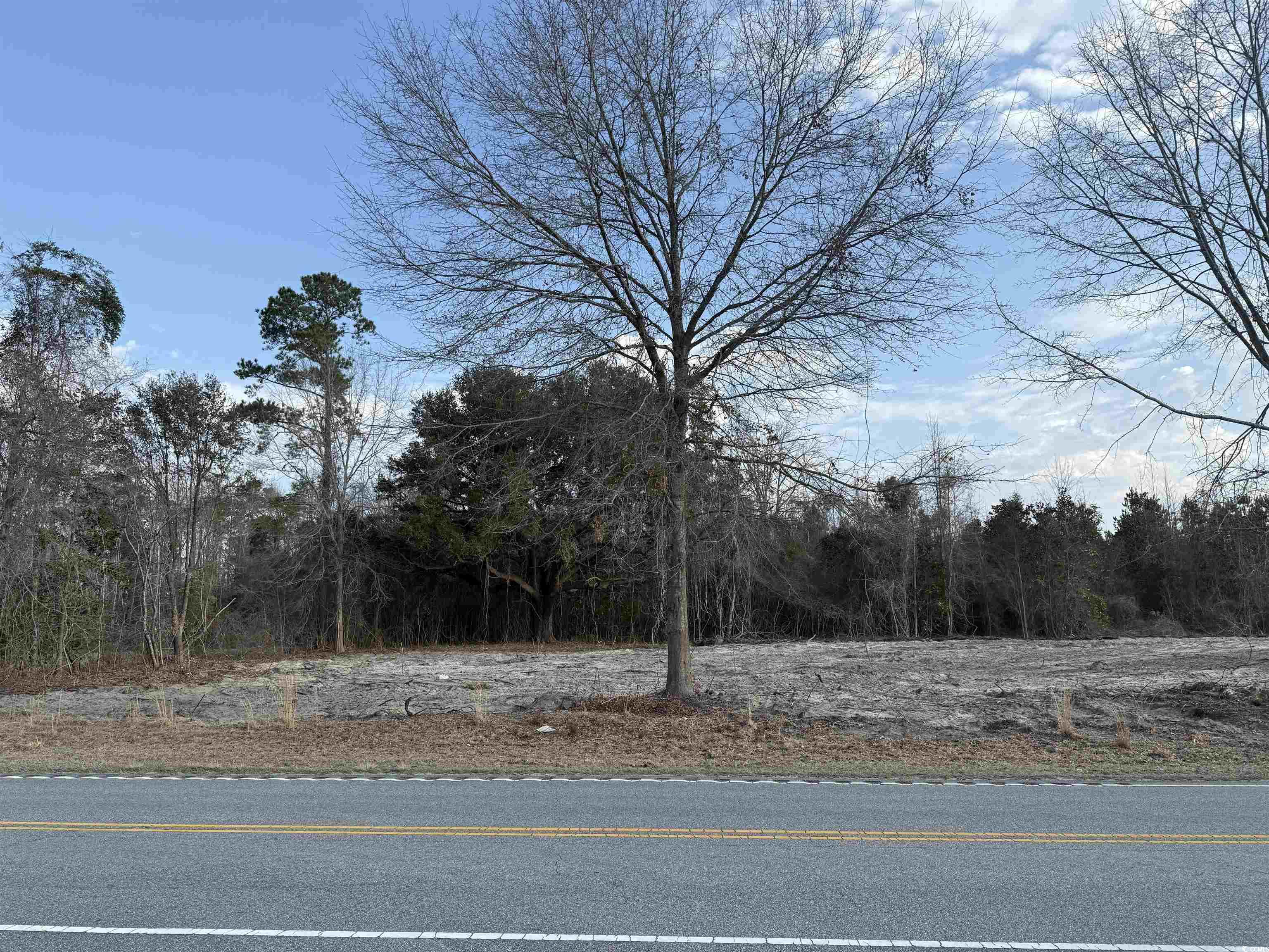 10576 W Highway 19, Loris, South Carolina image 1