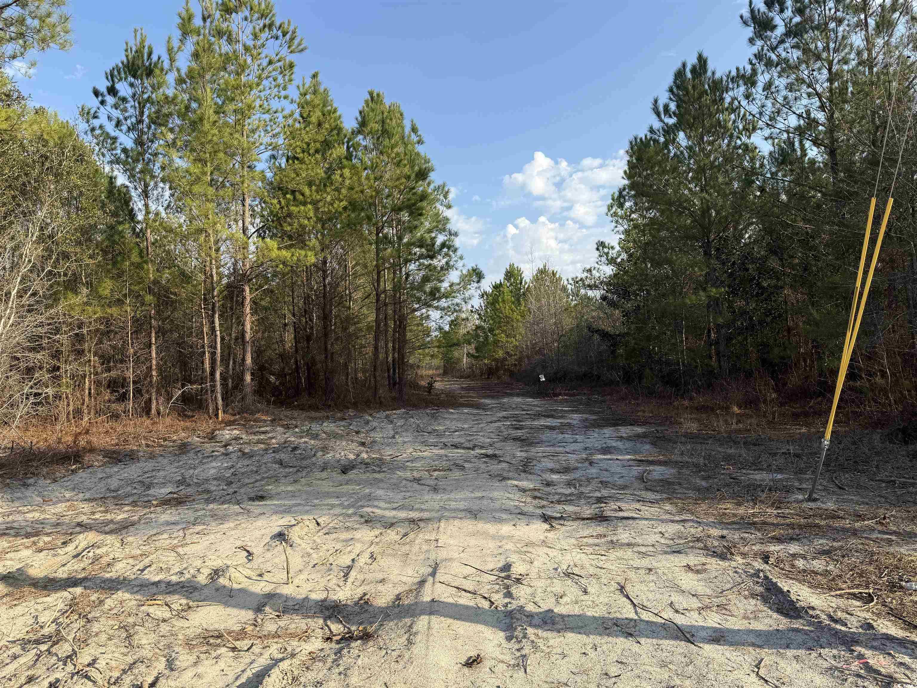 10502 W Highway 19 Loris, SC 29569