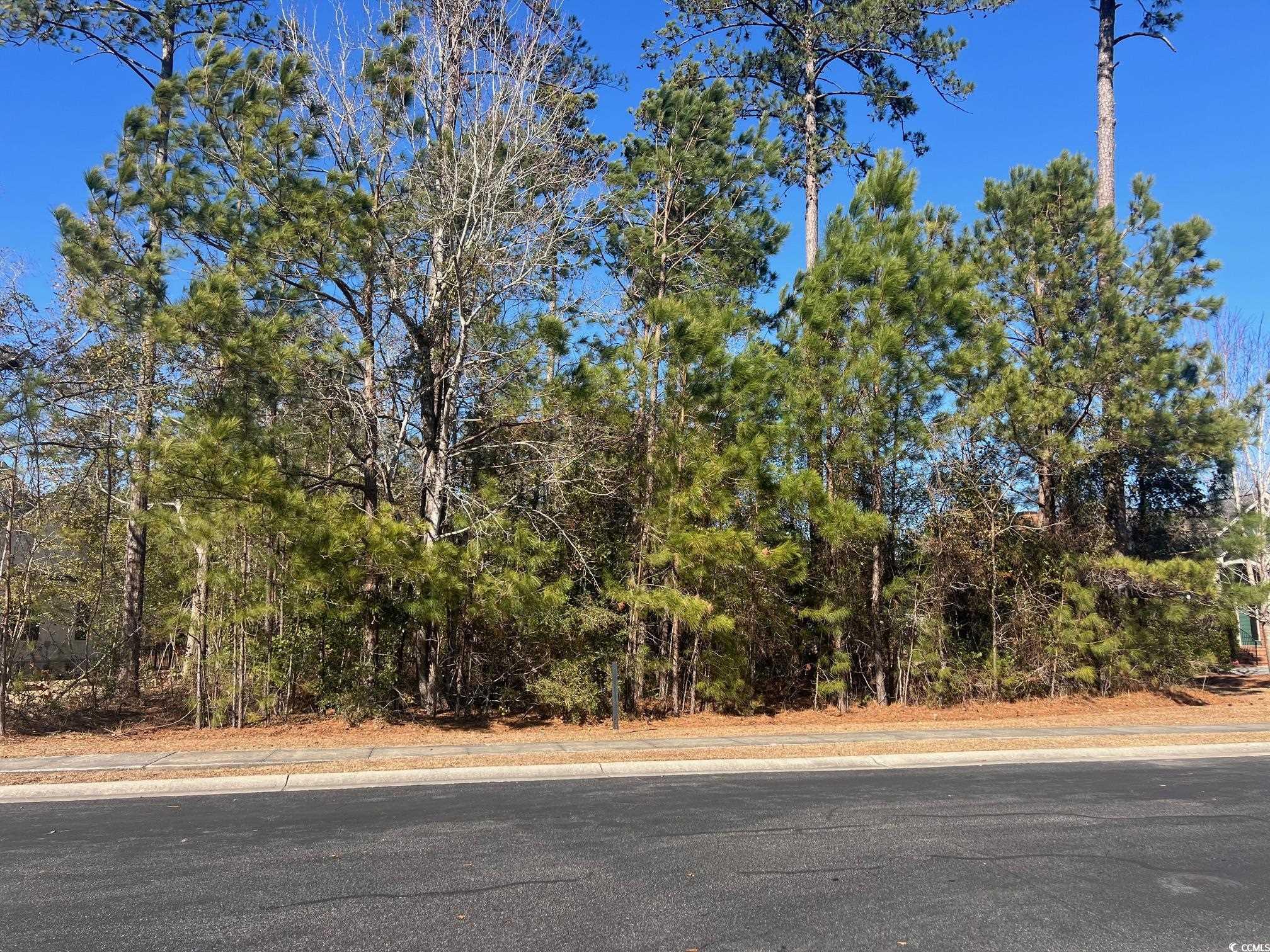 135 Low Country Loop Murrells Inlet, SC 29576