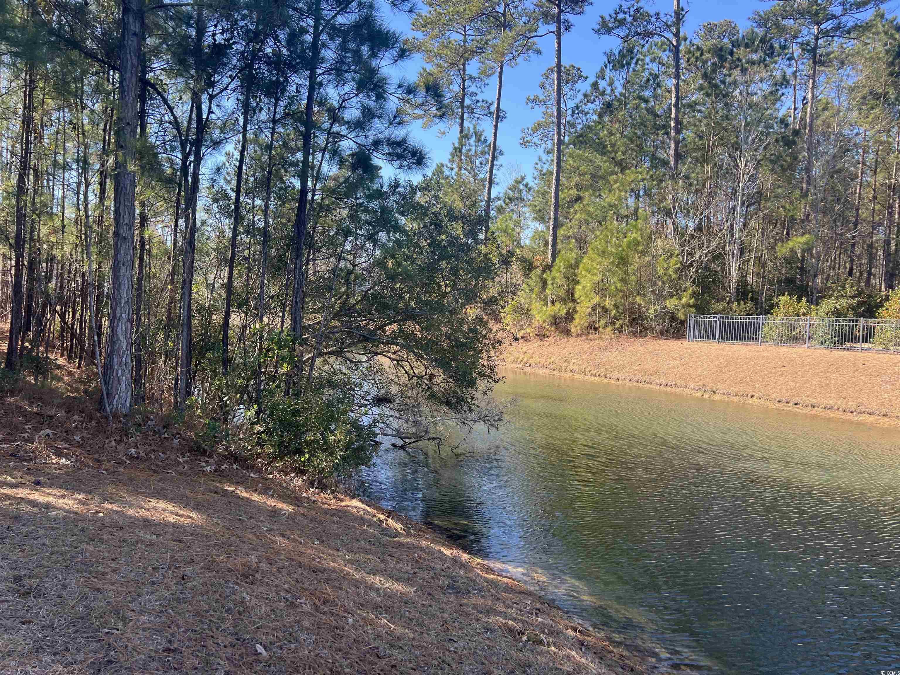 135 Low Country Loop, Murrells Inlet, South Carolina image 6