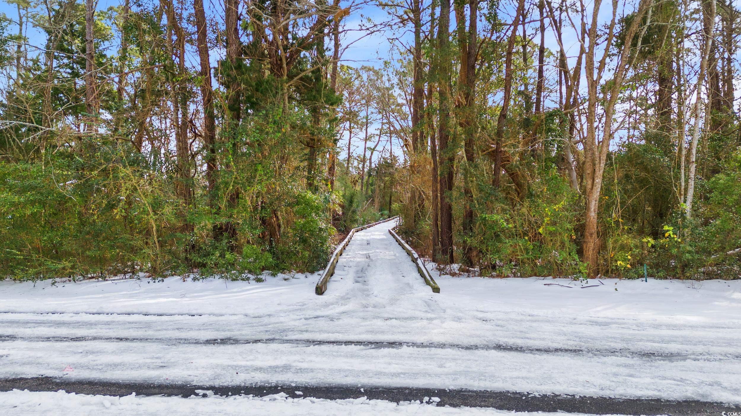 Lot 33 Cayman Loop, Pawleys Island, South Carolina image 10