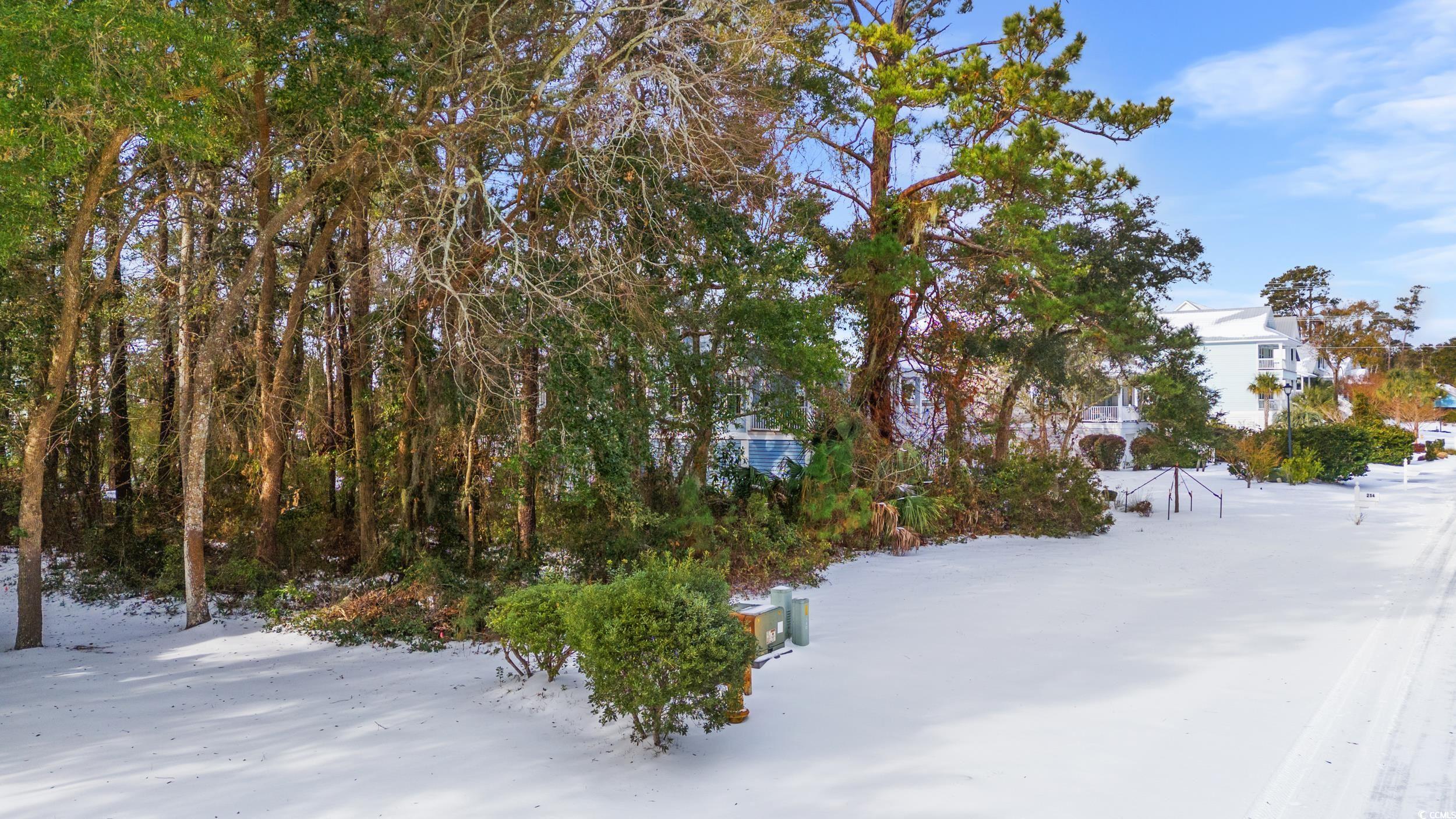 Lot 33 Cayman Loop, Pawleys Island, South Carolina image 3