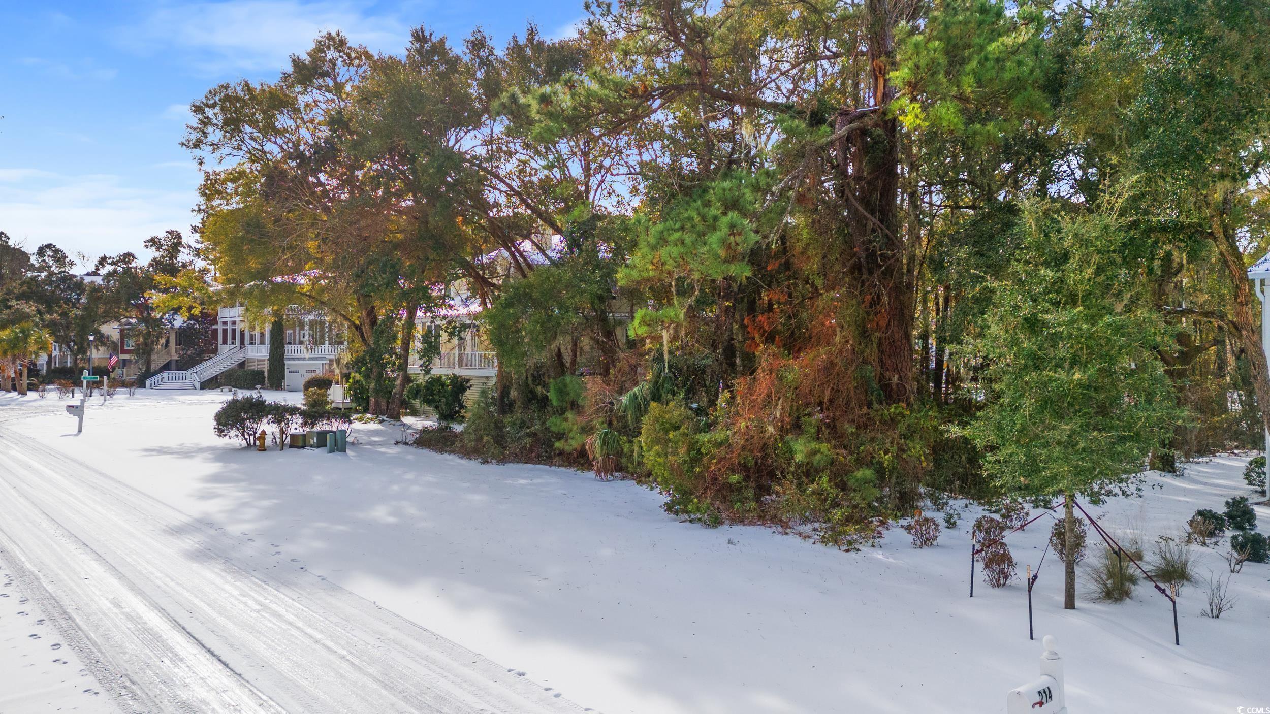 Lot 33 Cayman Loop, Pawleys Island, South Carolina image 4