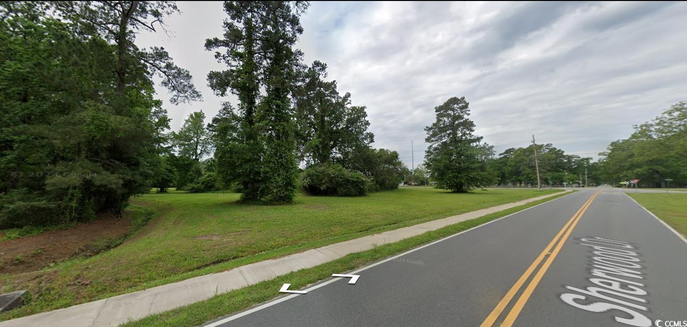 TBB Lot #2 Lakeside Dr., Conway, South Carolina image 6