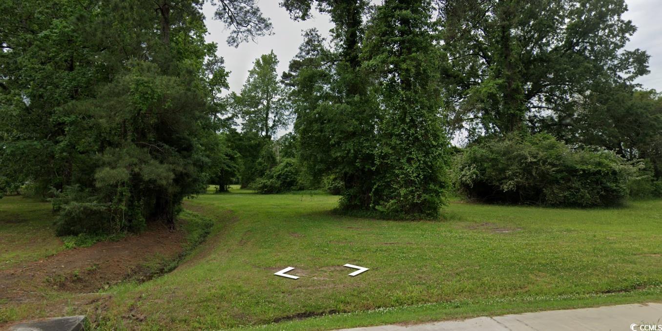 TBB Lot #2 Lakeside Dr., Conway, South Carolina image 7