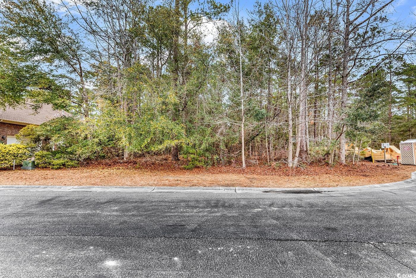 67 Barlowe Ct. Murrells Inlet, SC 29576