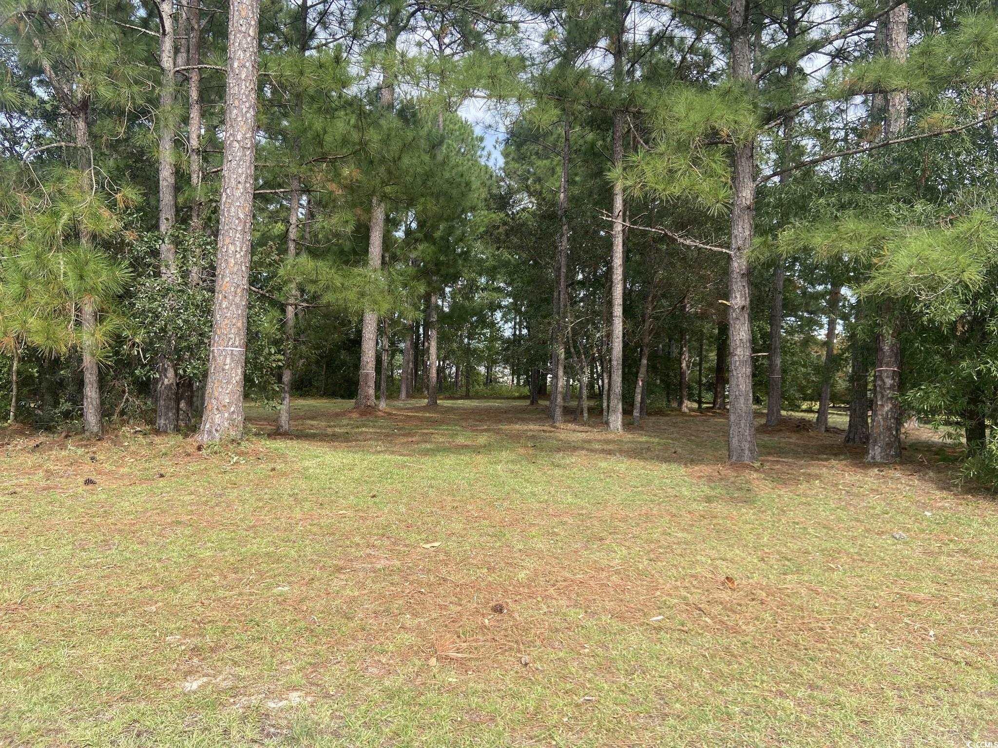 558 Oxbow Dr. Myrtle Beach, SC 29579