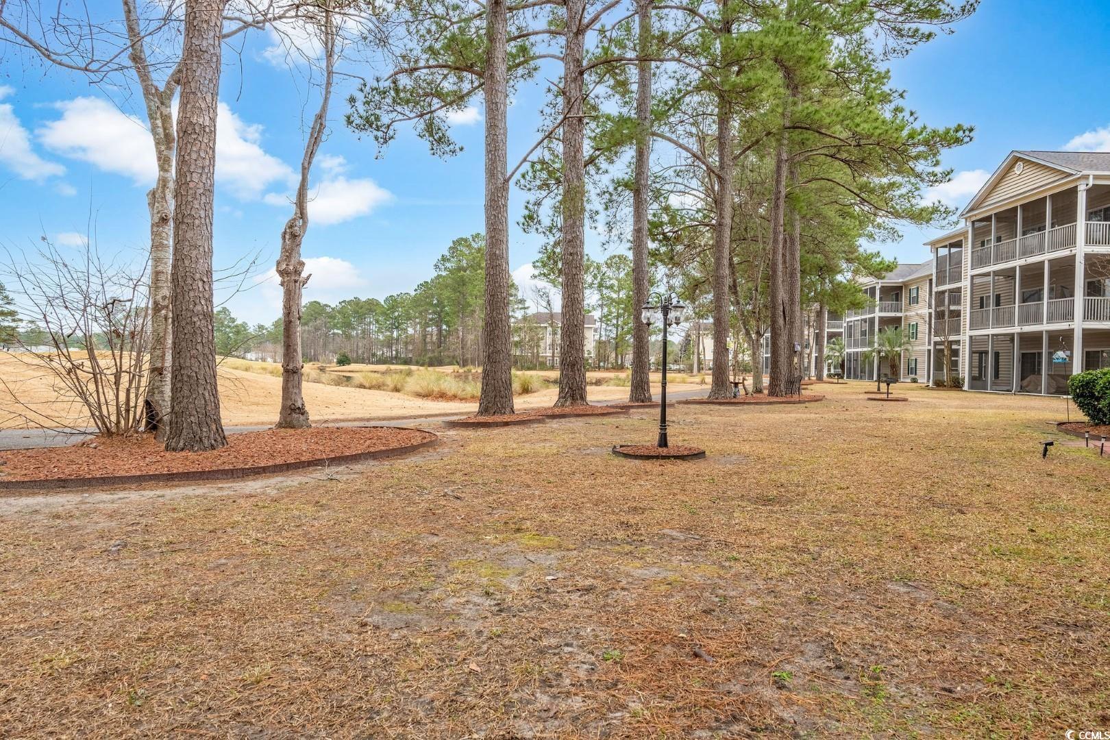 248 Sun Colony Blvd. #A-305, Longs, South Carolina image 13
