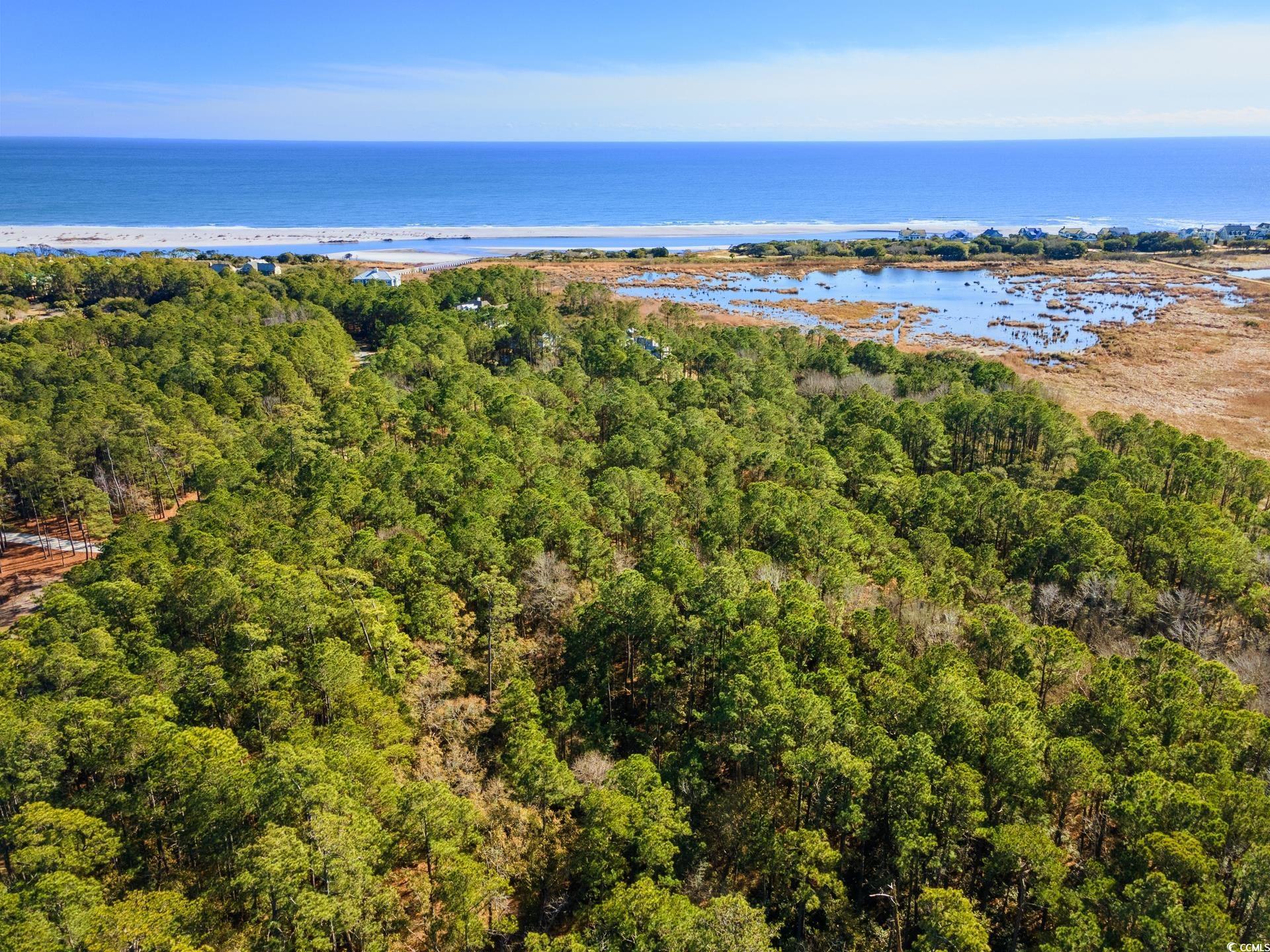 2706 Vanderbilt Blvd., Pawleys Island, South Carolina image 10