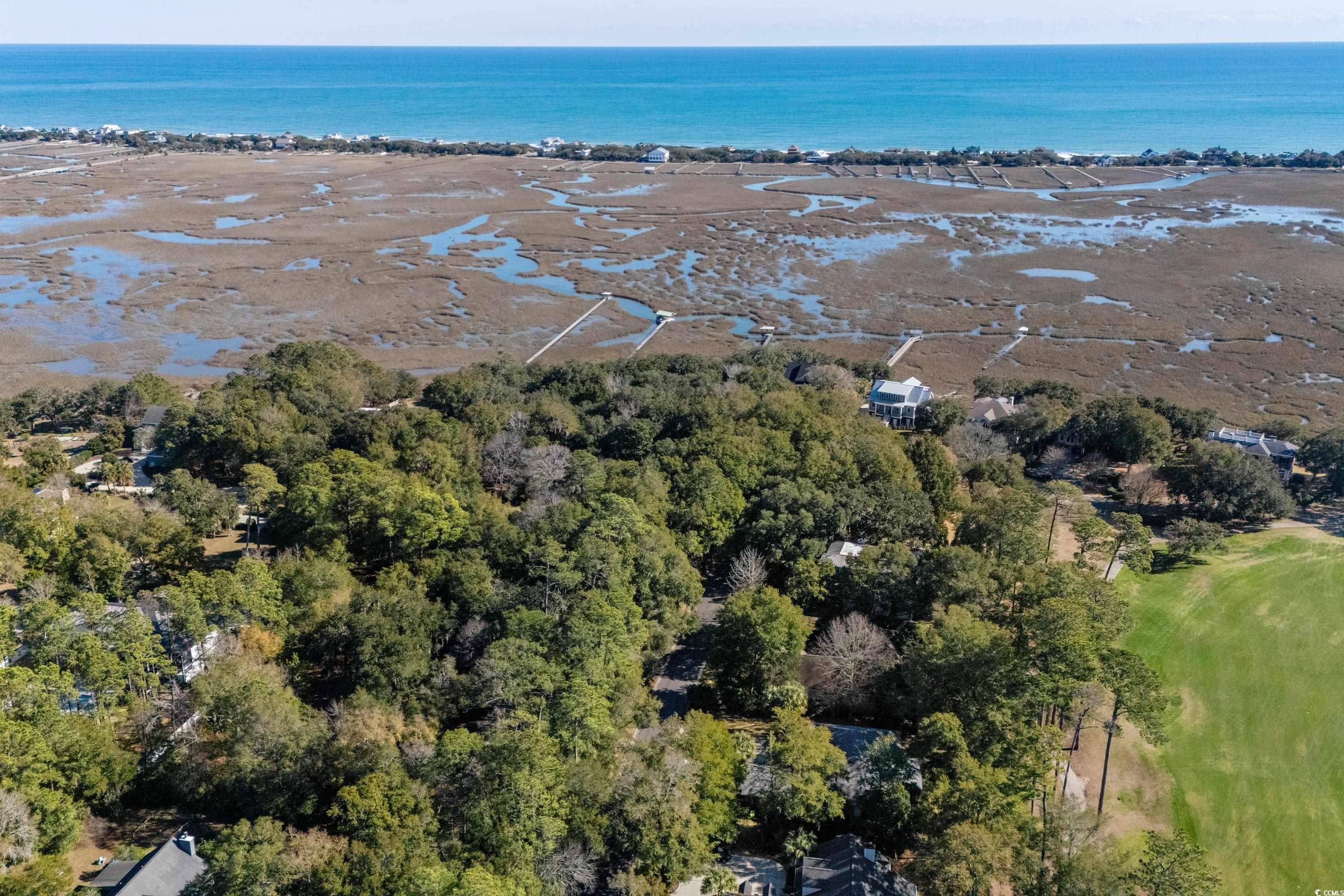 LOTS 20 & 20B Masters Dr., Pawleys Island, South Carolina image 10