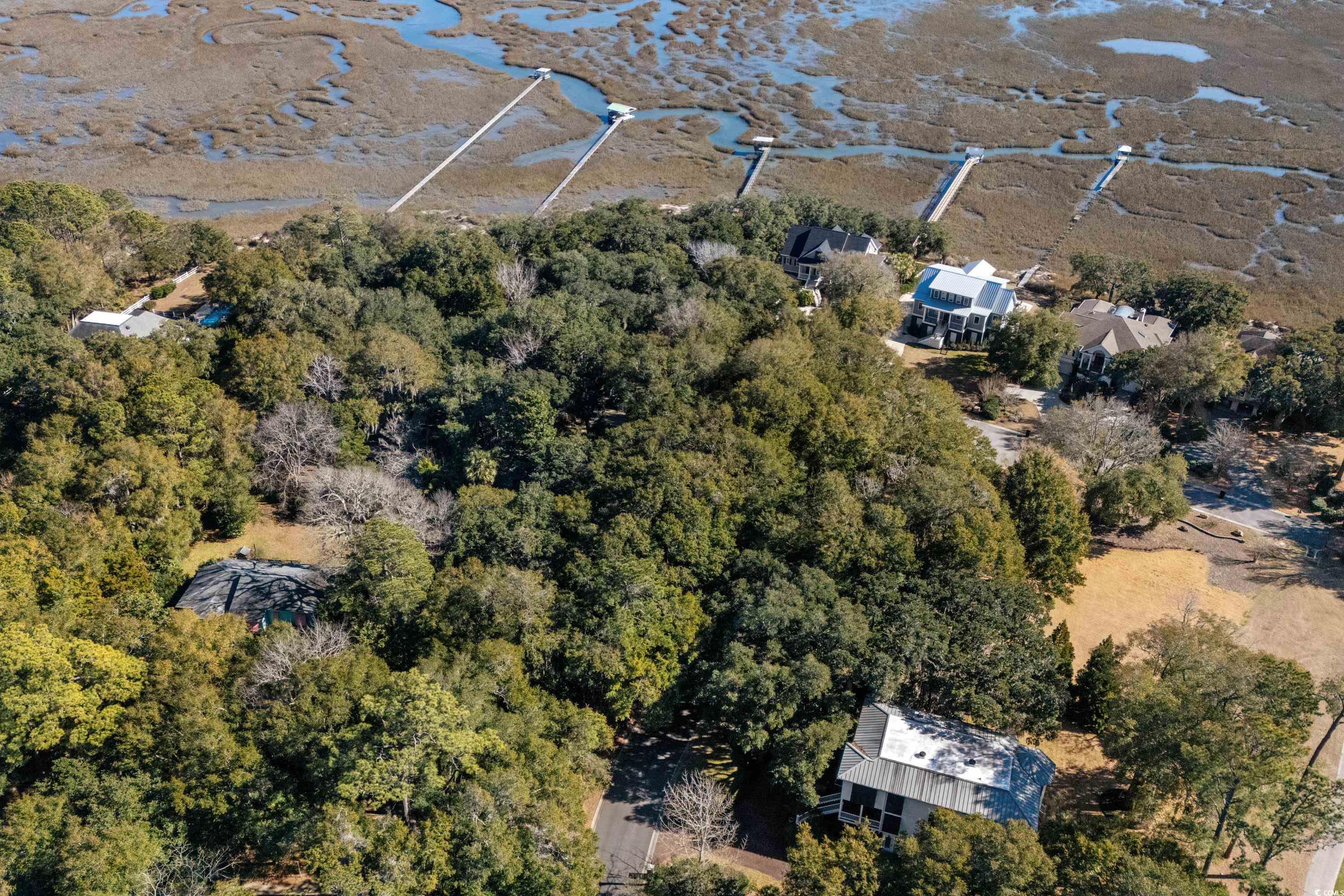 LOTS 20 & 20B Masters Dr., Pawleys Island, South Carolina image 12