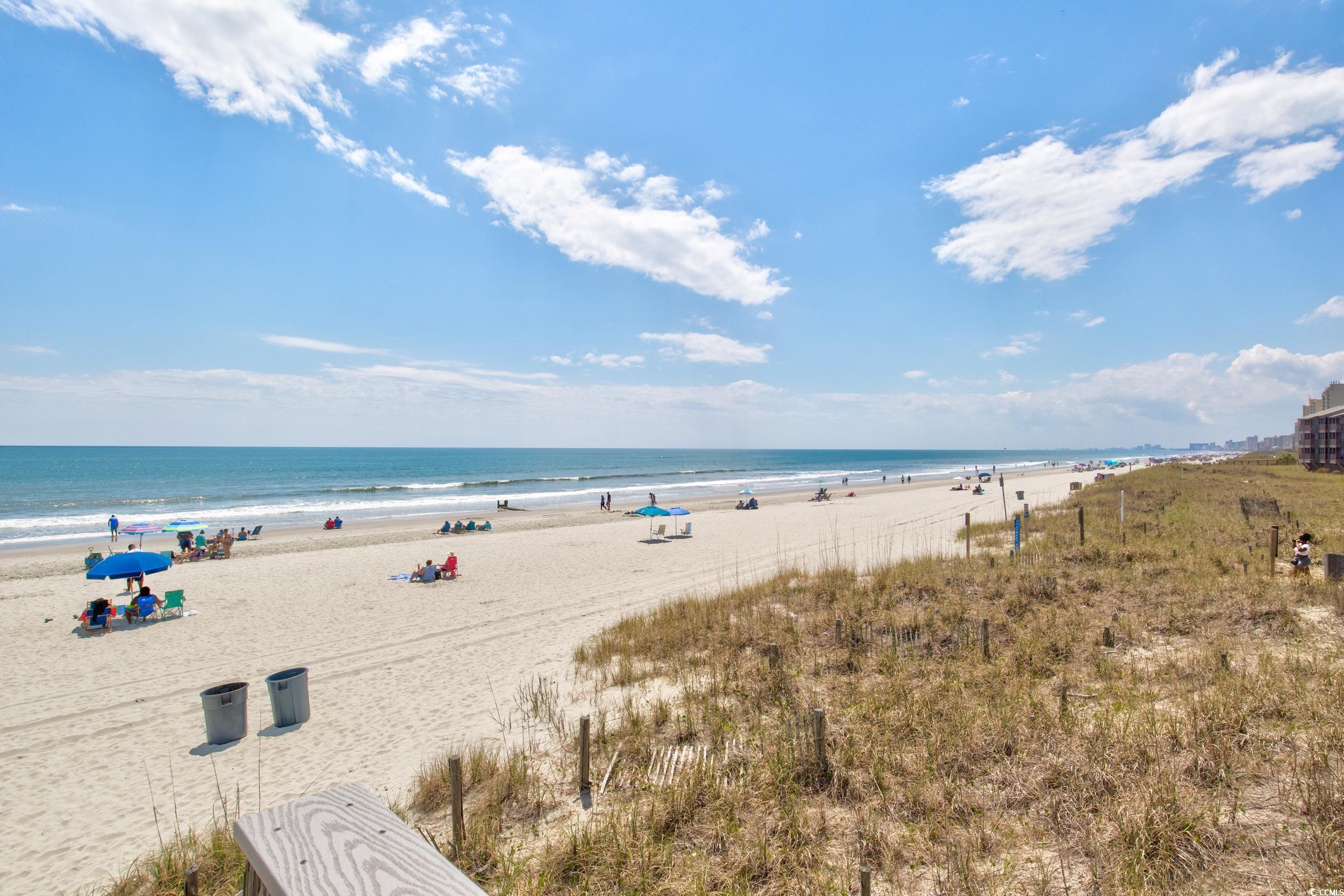 300 N Ocean Blvd. #1230, North Myrtle Beach, South Carolina image 32