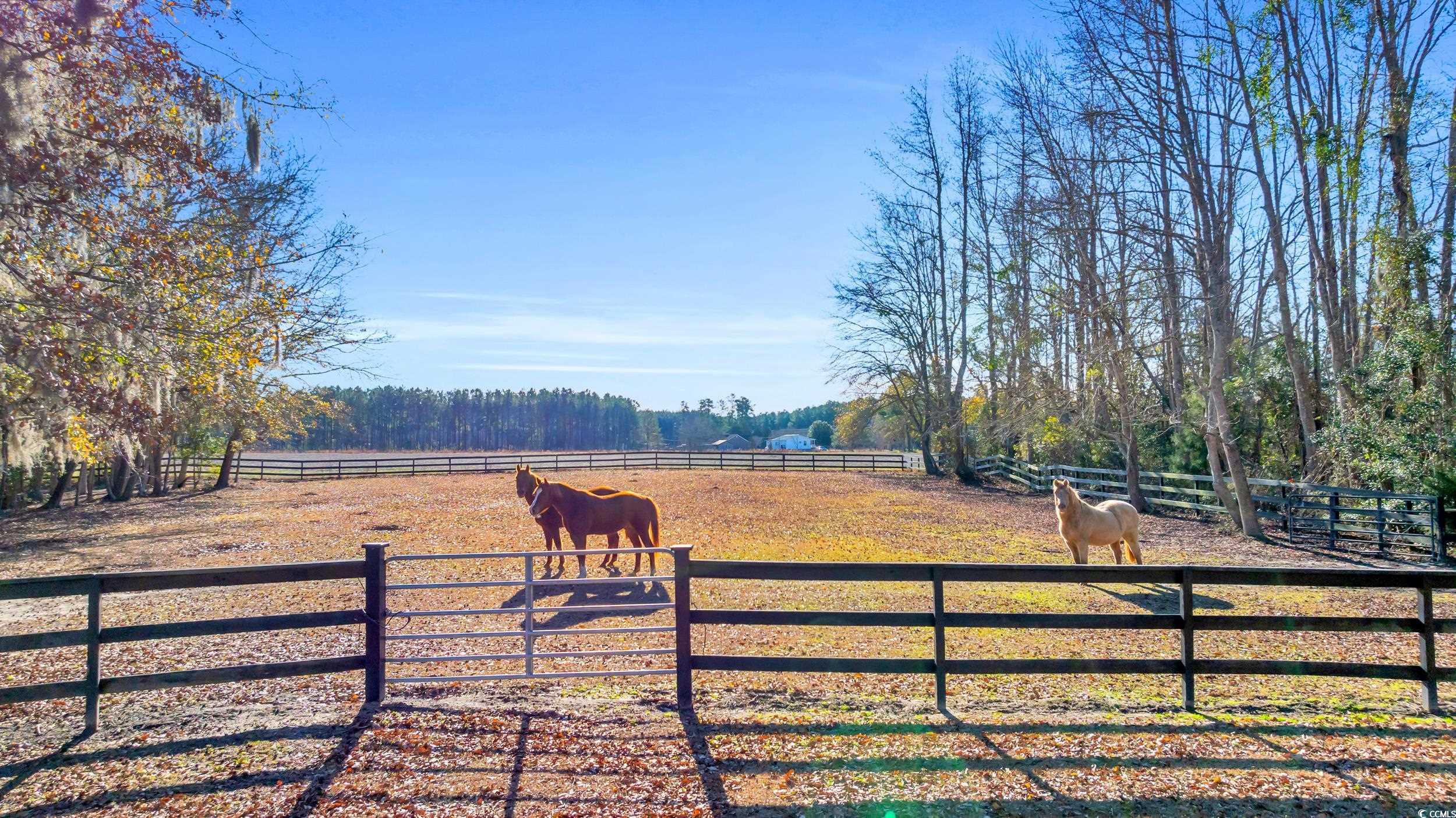 2136 Bear Grass Rd., Longs, South Carolina image 36