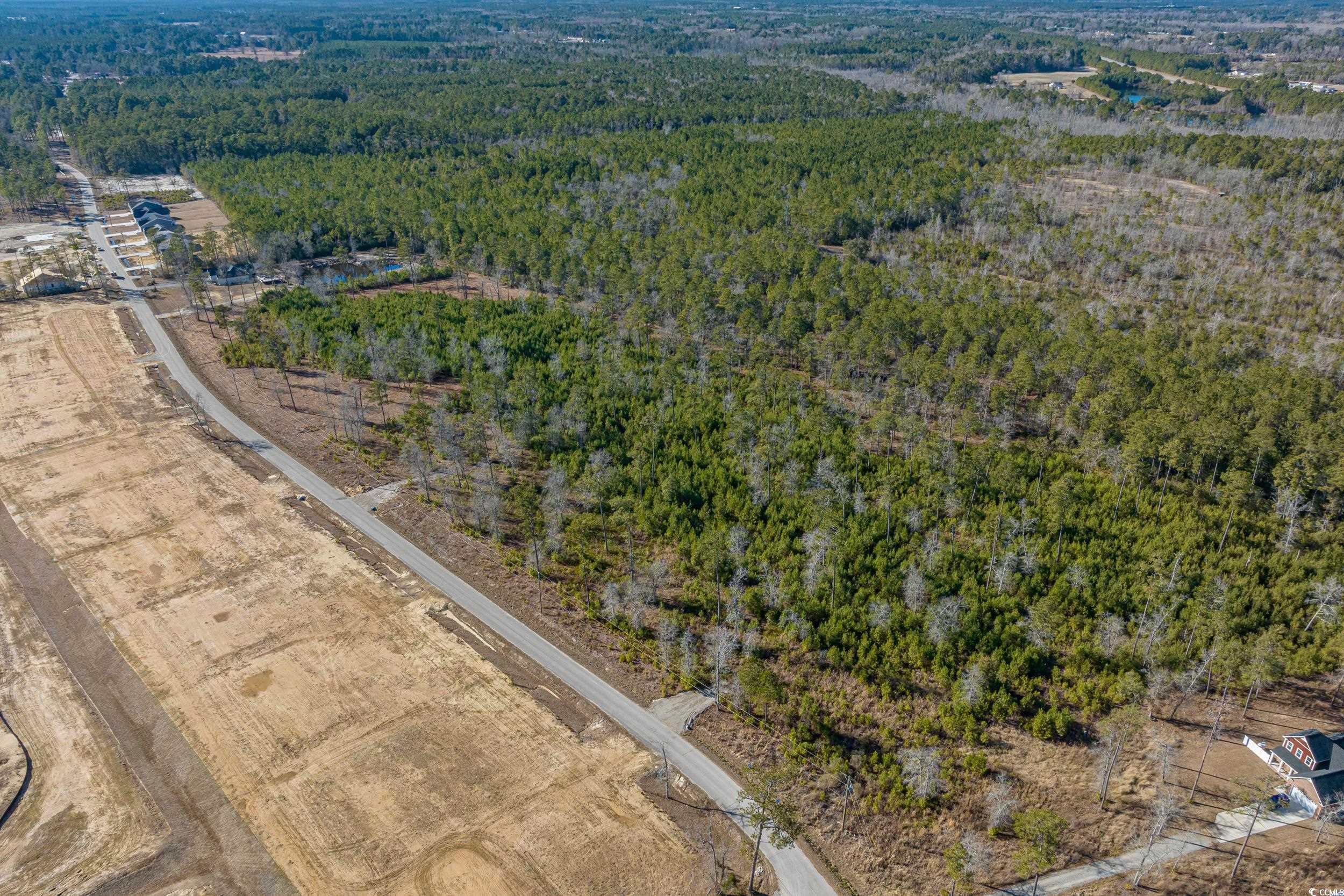 5019 Huckleberry Rd., Conway, South Carolina image 9