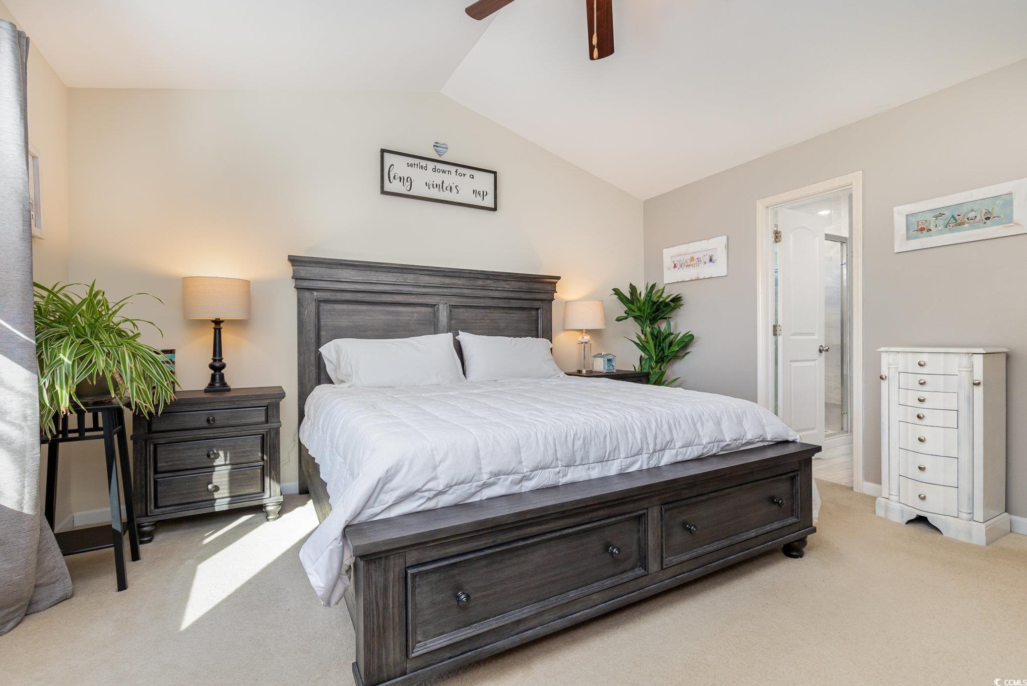 823 Trap Shooter Circle, Longs, South Carolina image 17