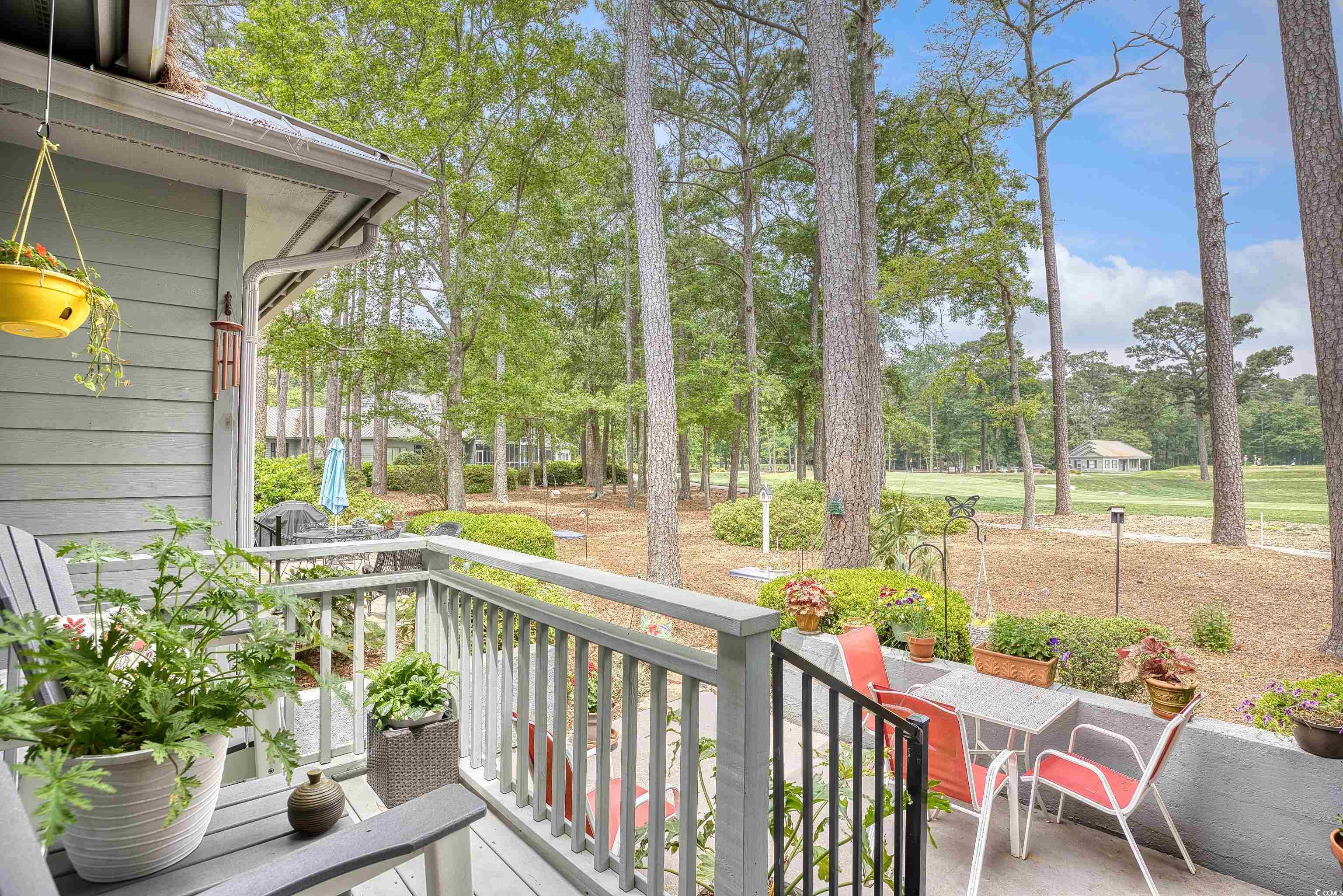 93 Whitetail Way #2, Pawleys Island, South Carolina image 29