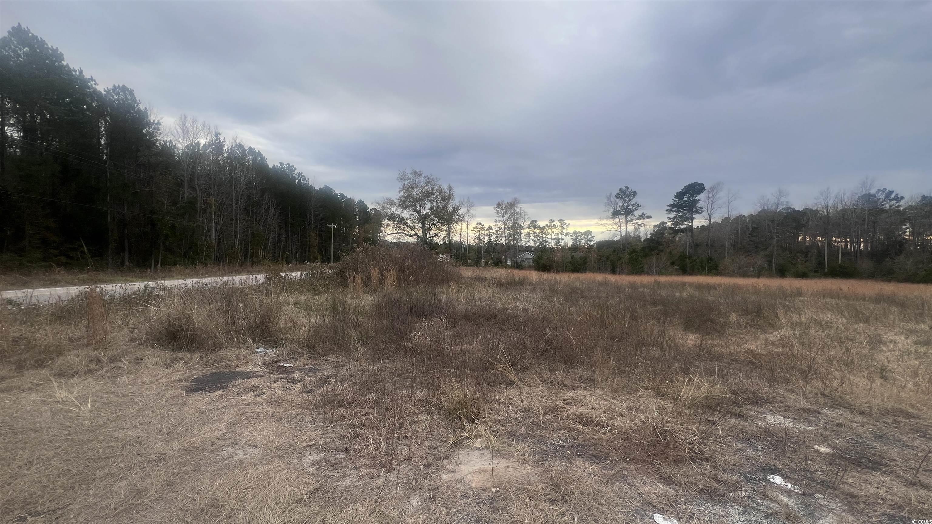 3.23 Acres Highway 348, Loris, South Carolina image 2