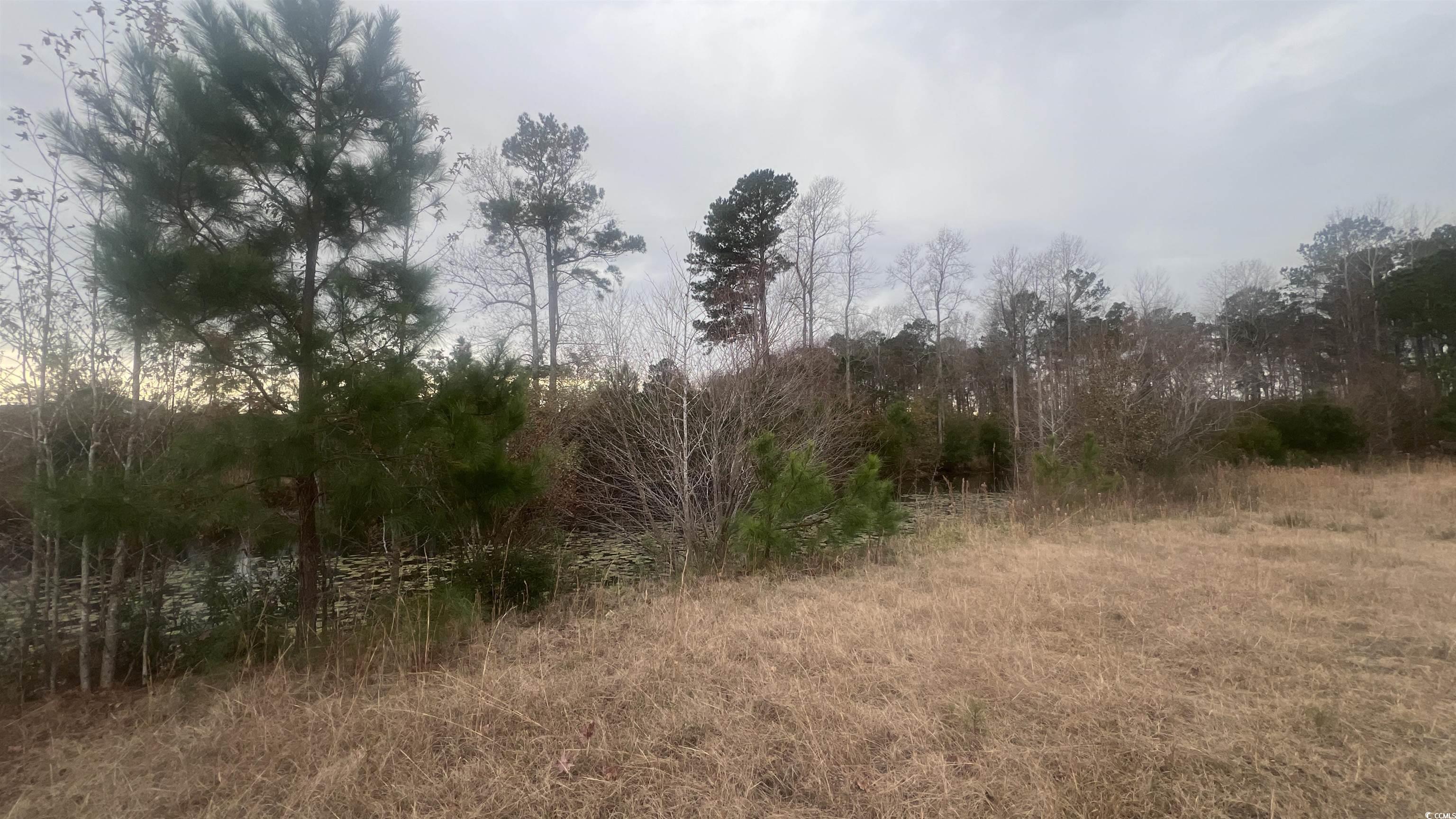 3.23 Acres Highway 348, Loris, South Carolina image 5