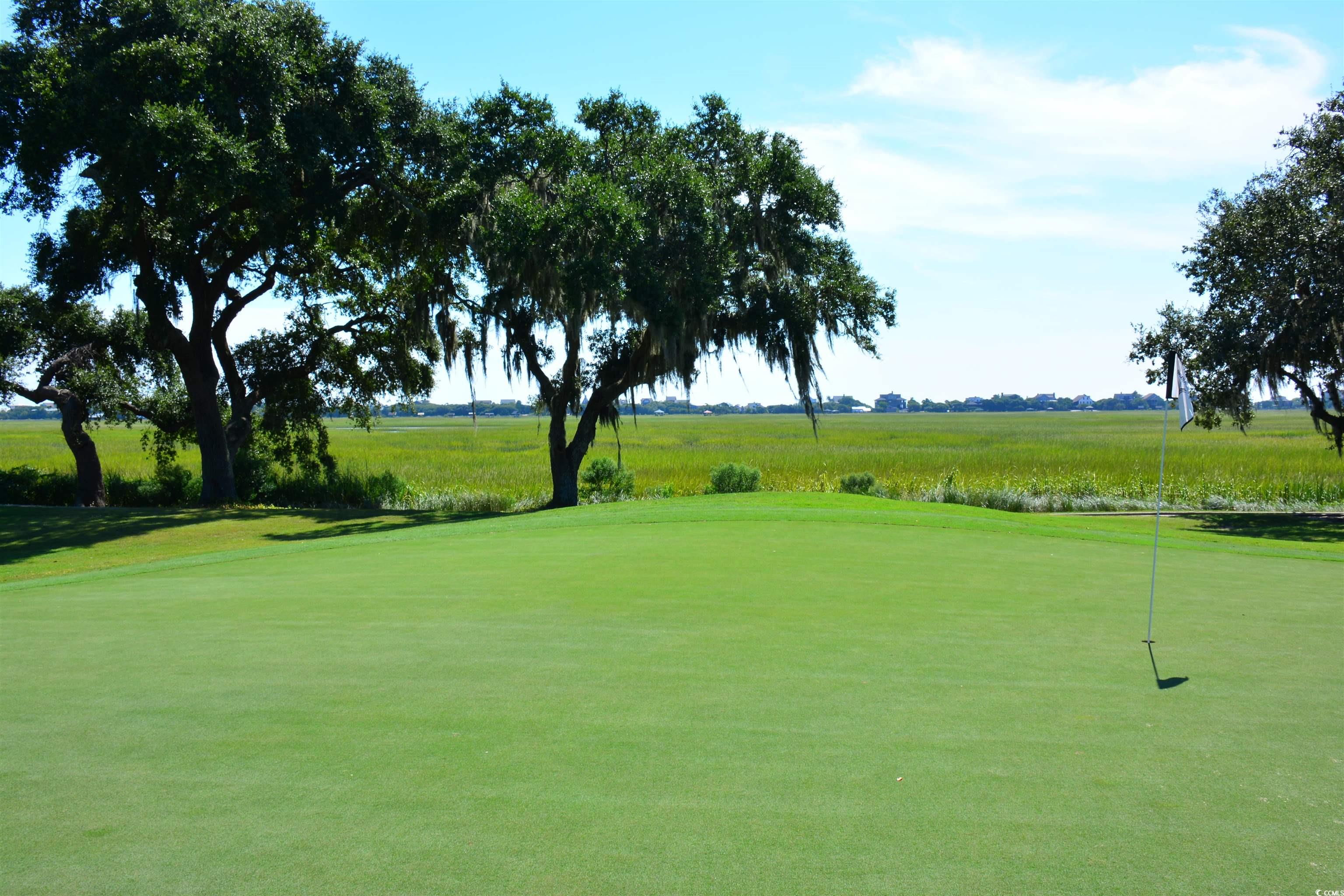 489-3 Golden Bear Dr. #3, Pawleys Island, South Carolina image 34