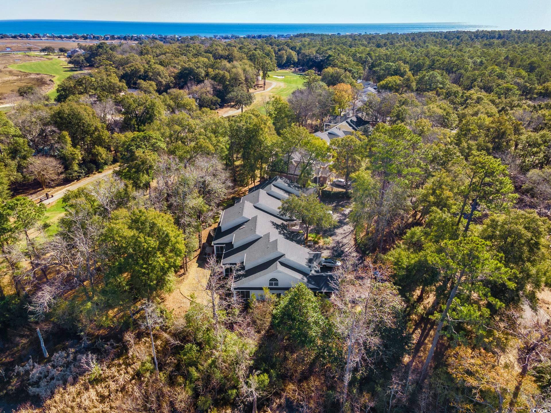 489-3 Golden Bear Dr. #3, Pawleys Island, South Carolina image 38