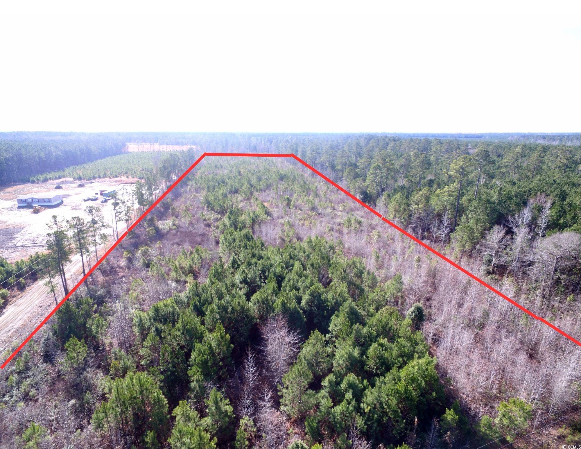 TBD Southwind Rd, Pamplico, South Carolina image 1