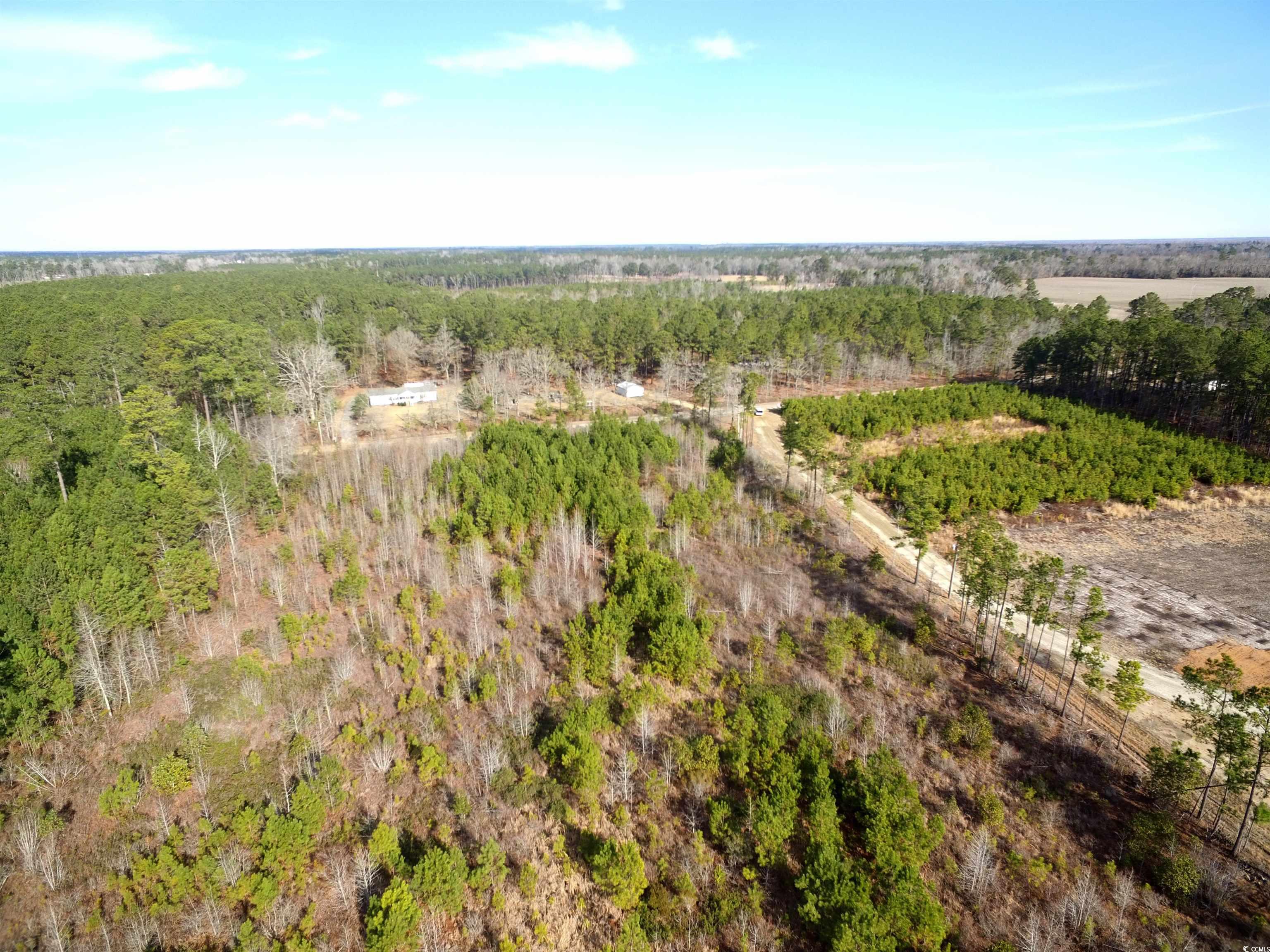 TBD Southwind Rd, Pamplico, South Carolina image 10