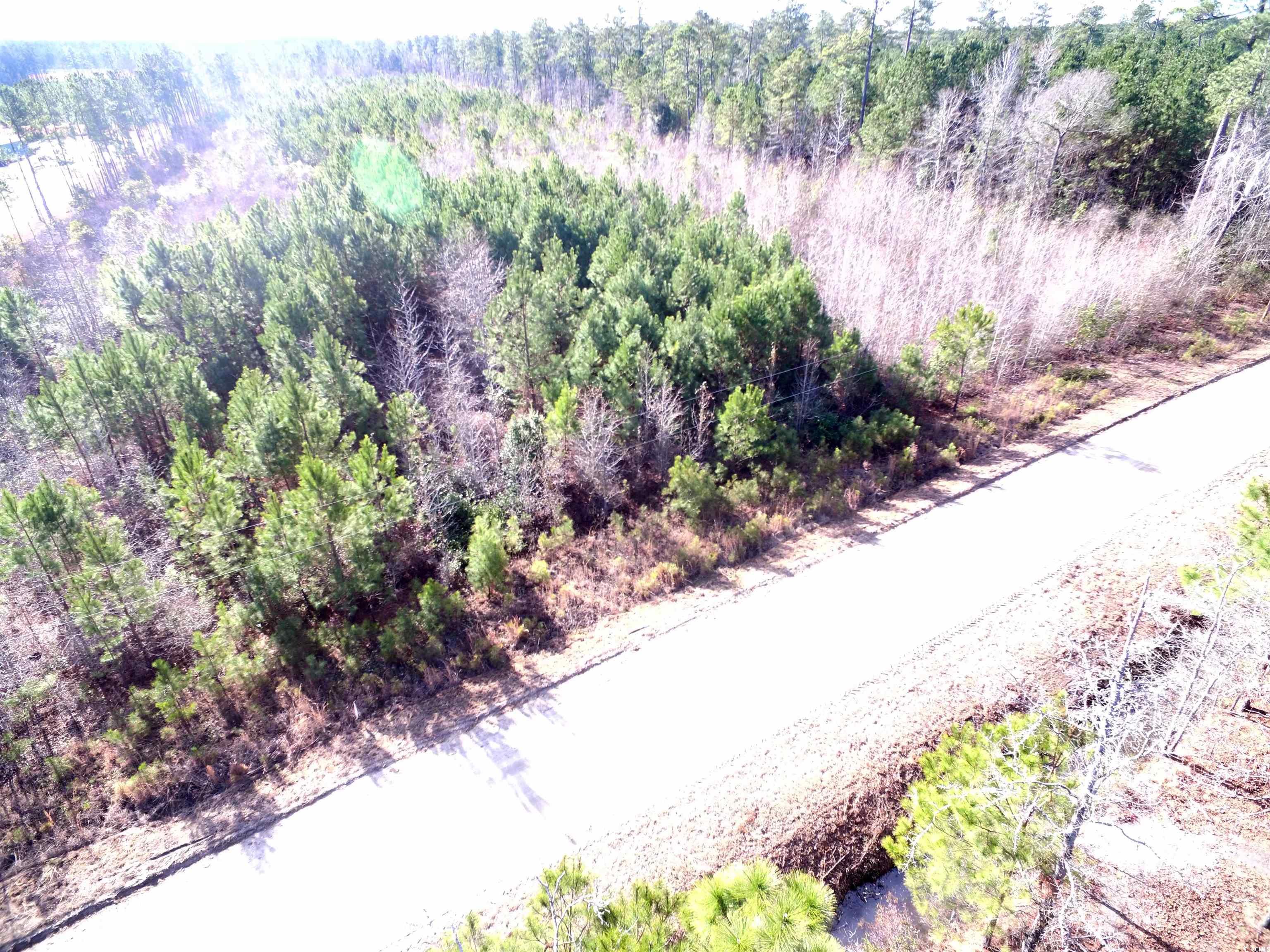 TBD Southwind Rd, Pamplico, South Carolina image 11