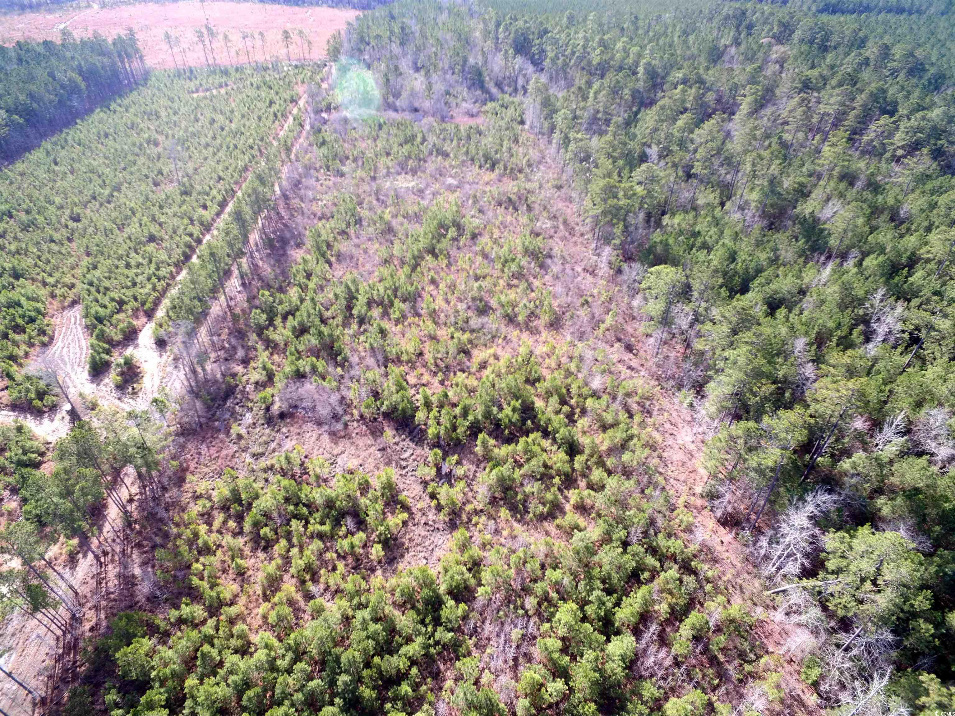 TBD Southwind Rd, Pamplico, South Carolina image 16