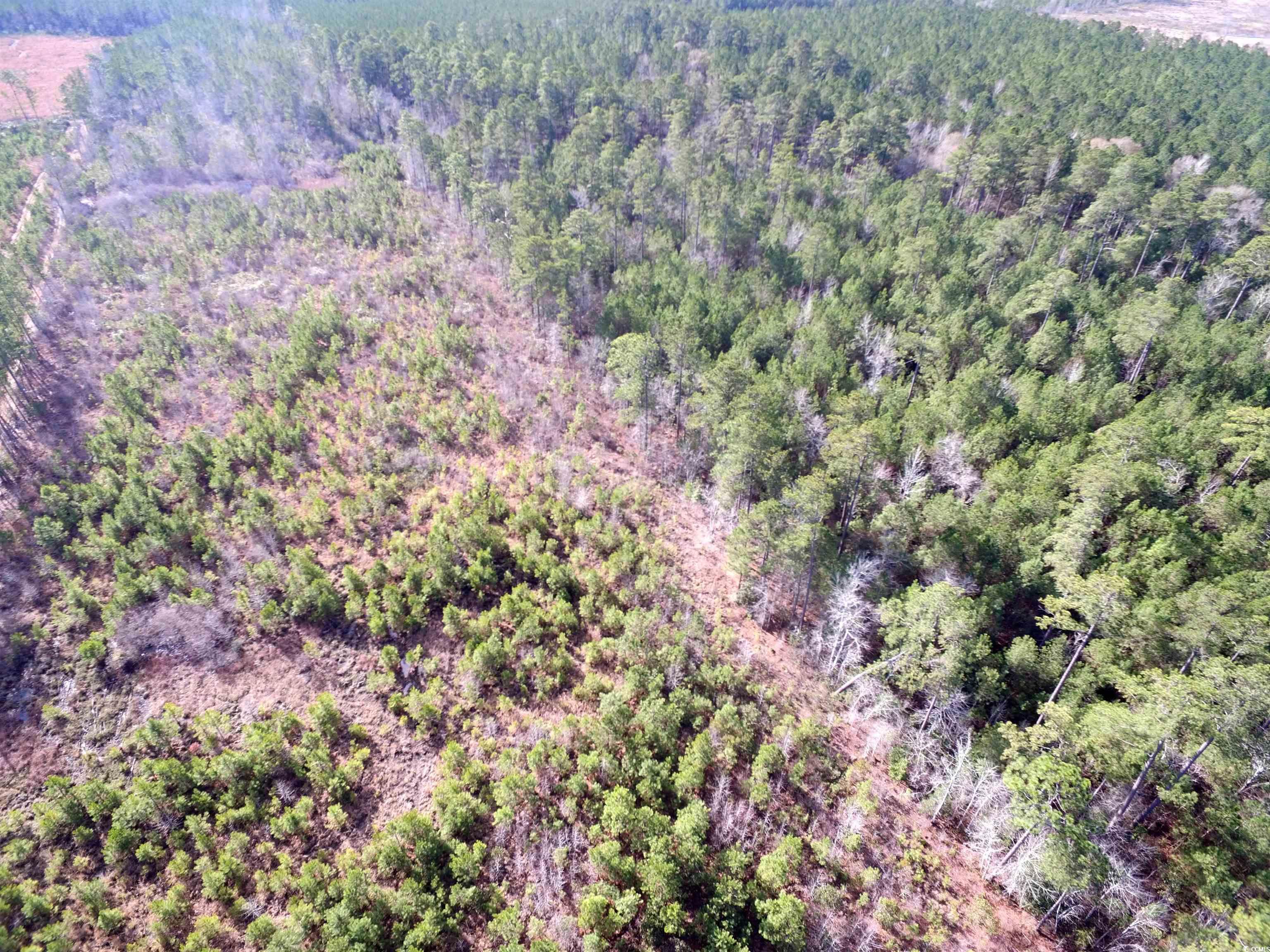 TBD Southwind Rd, Pamplico, South Carolina image 17