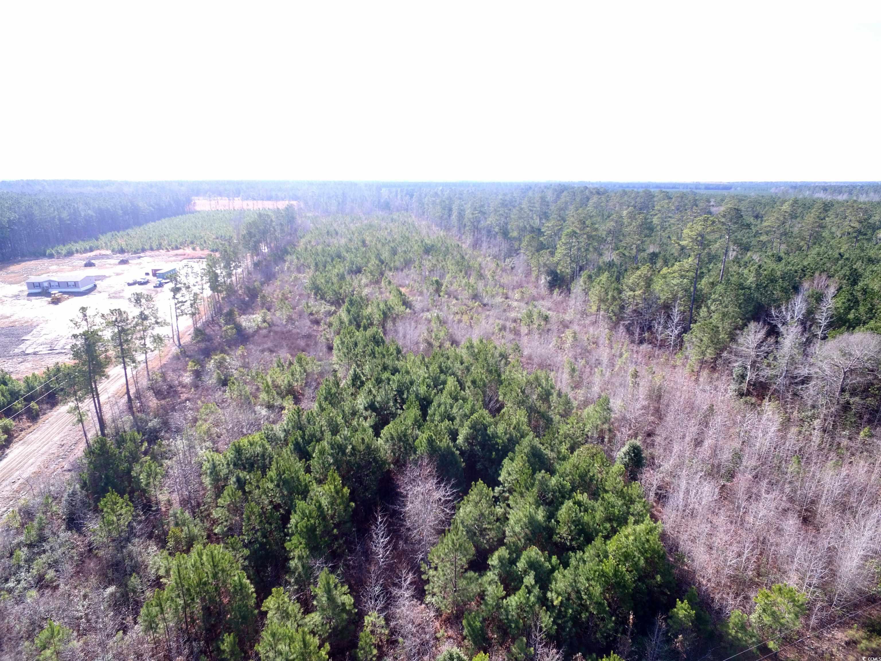 TBD Southwind Rd, Pamplico, South Carolina image 2