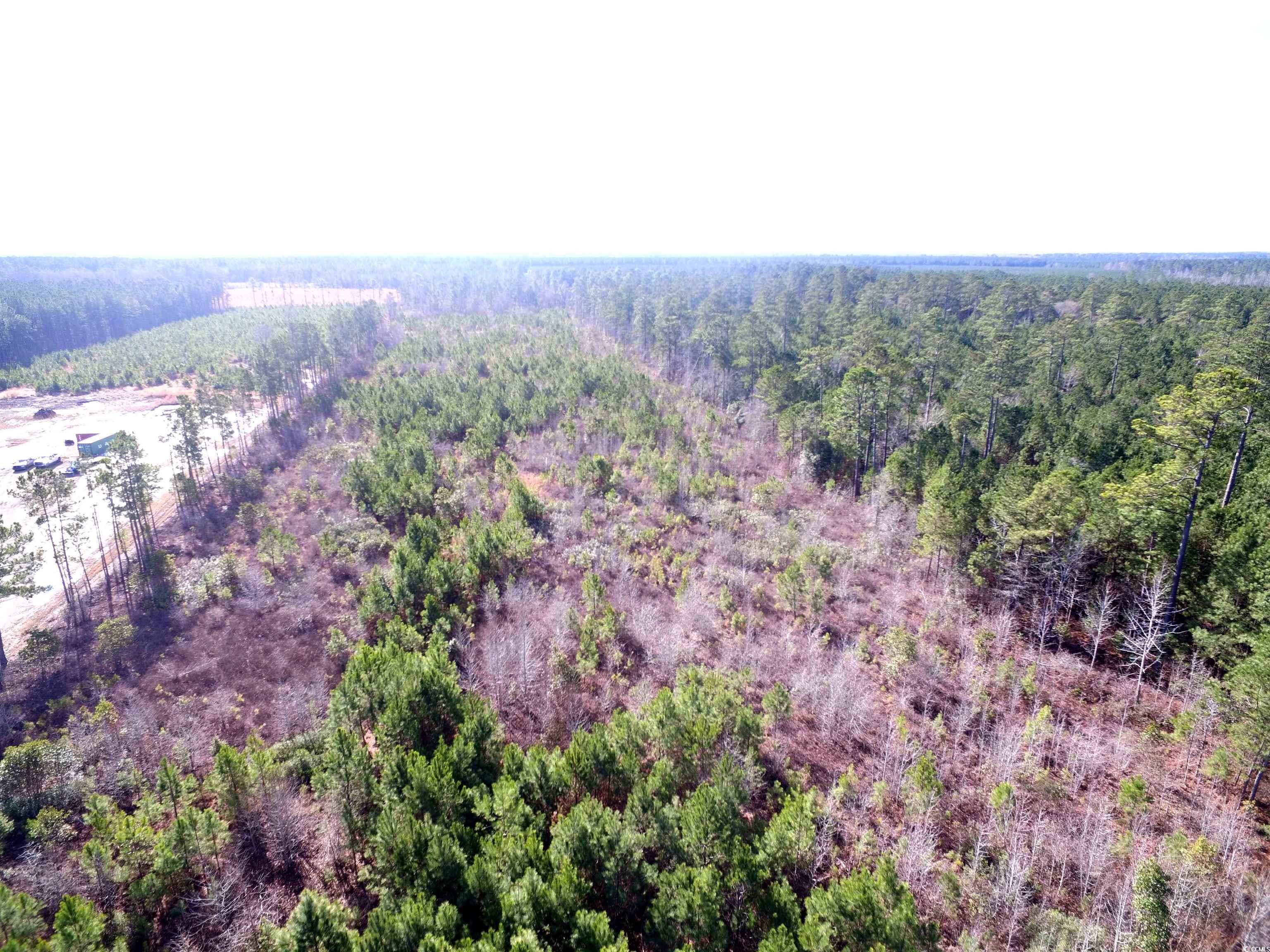 TBD Southwind Rd, Pamplico, South Carolina image 3