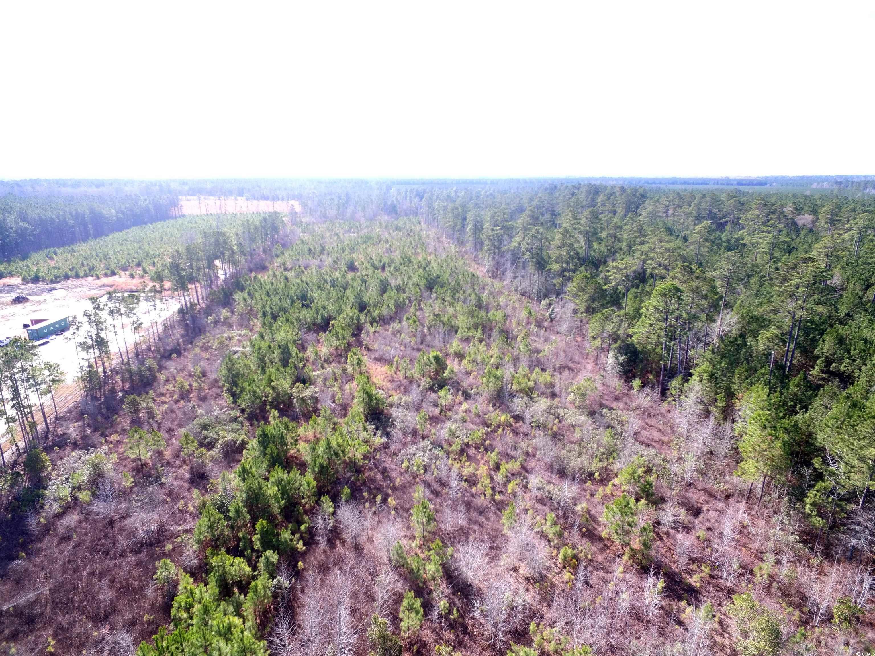 TBD Southwind Rd, Pamplico, South Carolina image 4
