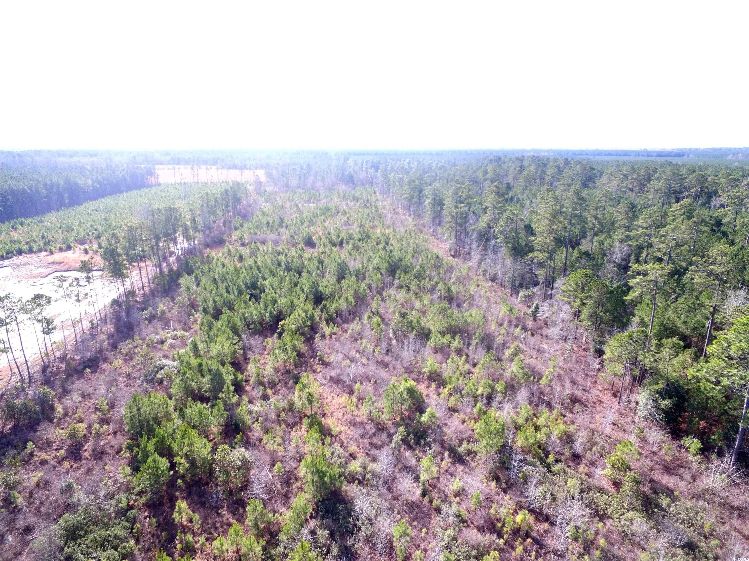 TBD Southwind Rd, Pamplico, South Carolina image 5